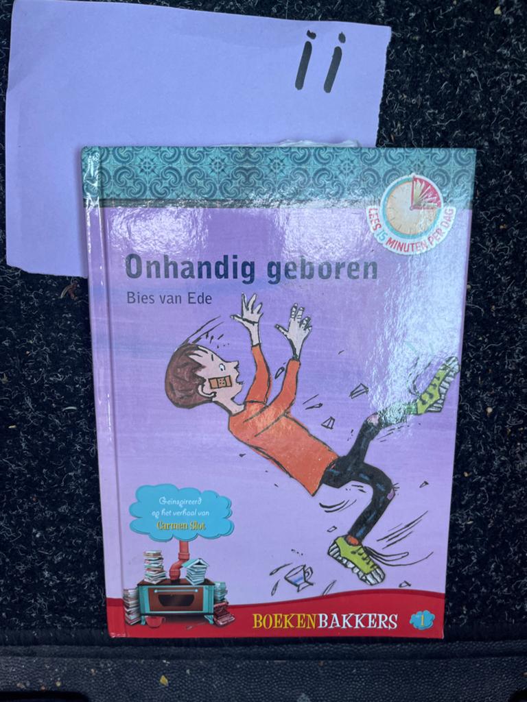Onhandig geboren - Bies van Ede (Boekenbakkers), Boeken, Ophalen of Verzenden, Zo goed als nieuw, Fictie algemeen
