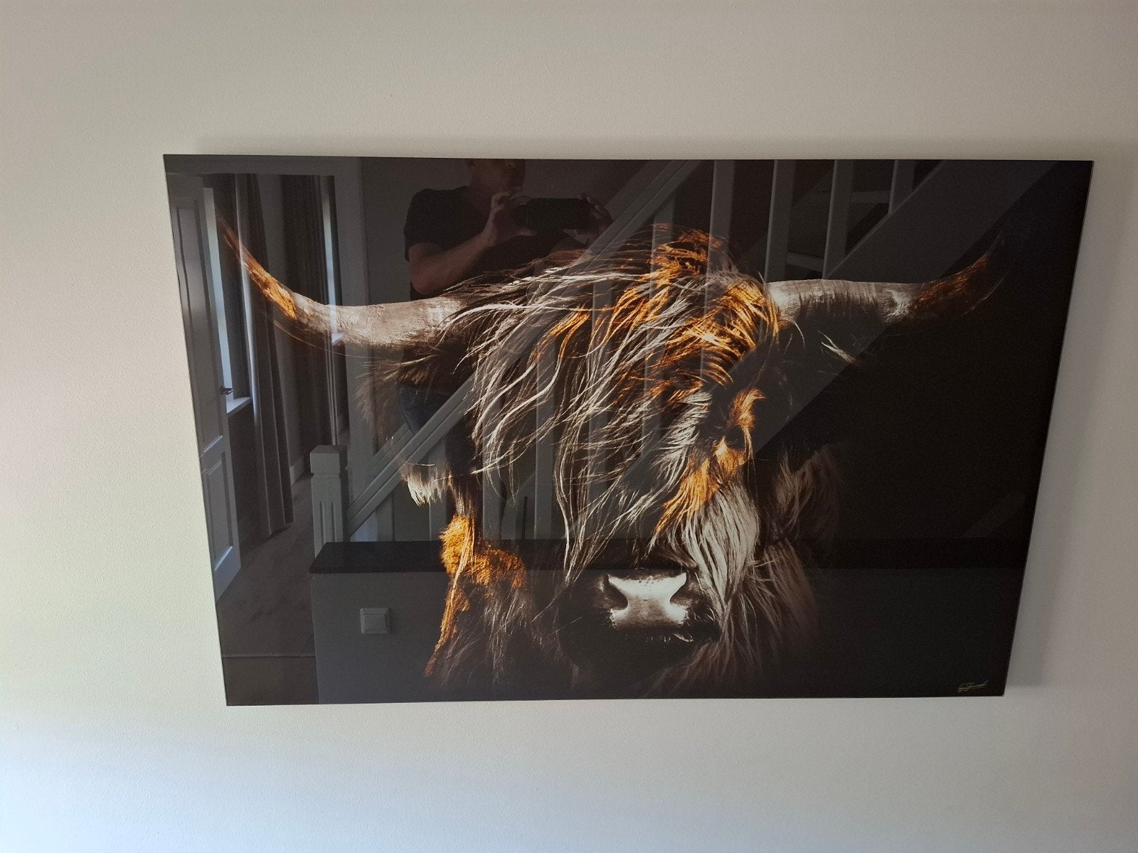 Prachtige Schotse Hooglander schilderij wanddecoratie, Ophalen of Verzenden, Zo goed als nieuw, 100 tot 125 cm, Foto of Poster