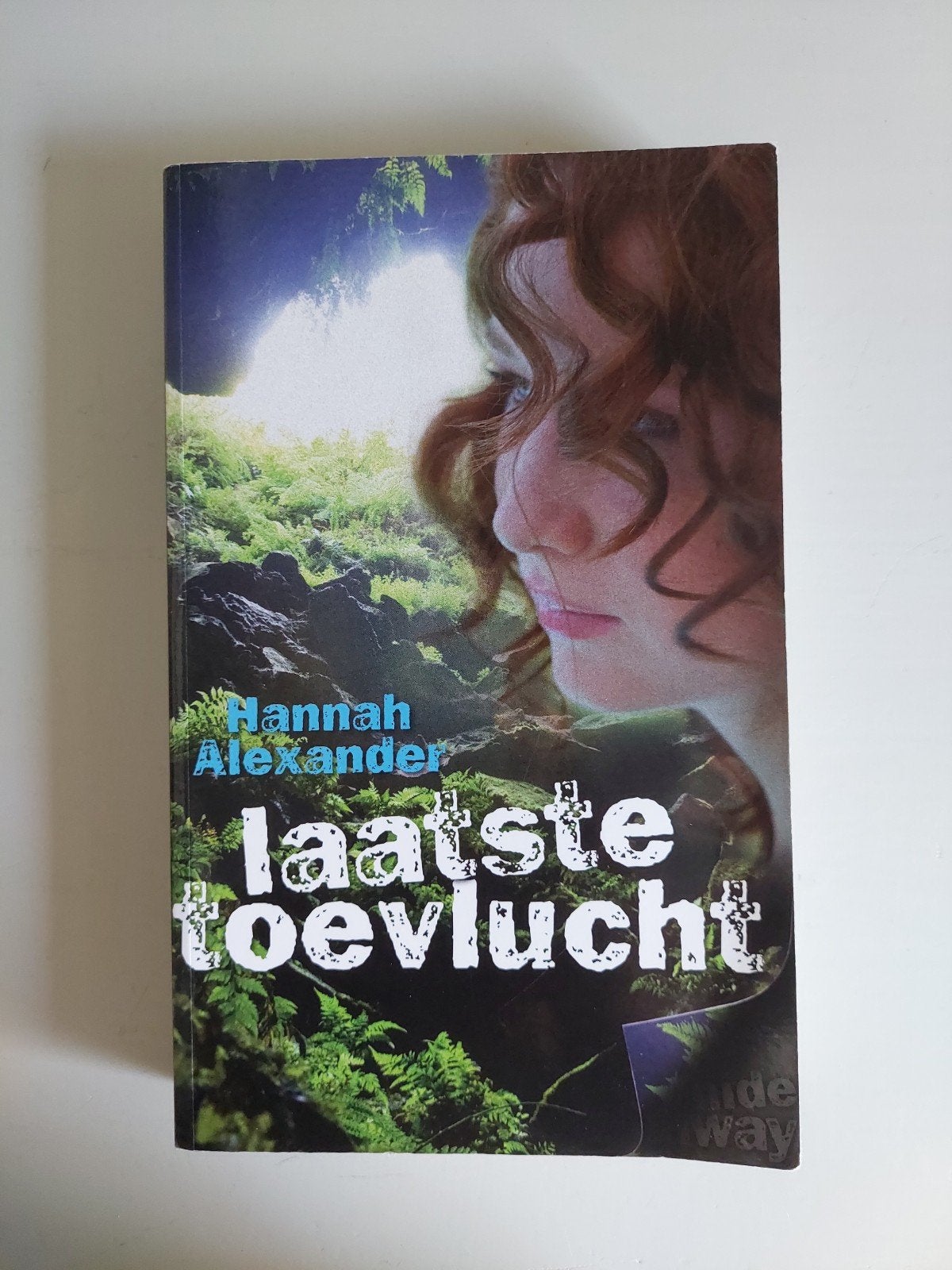 Laatste Toevlucht - Hannah Alexander (Roman), Ophalen of Verzenden, Gelezen, Hannah Alexander, Nederland