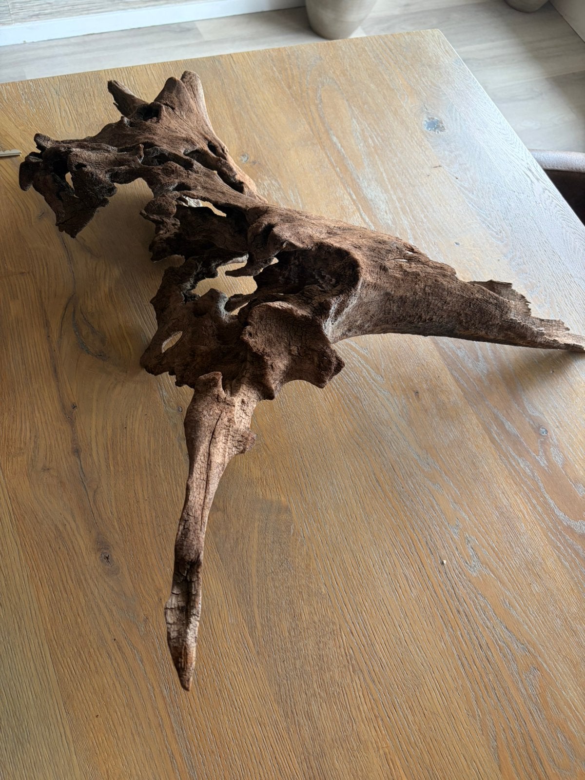 KIENHOUT, Dieren en Toebehoren, Ophalen, Zo goed als nieuw, Plant(en), Steen of Hout