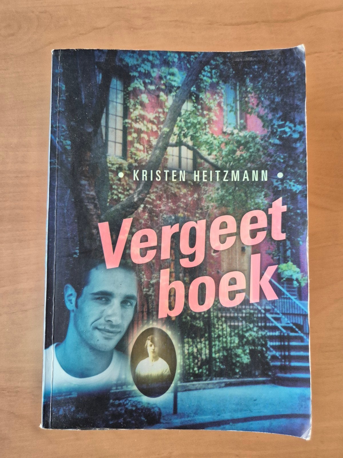 Vergeetboek - Kristen Heitzmann (Roman), Boeken, Ophalen of Verzenden, Gelezen, Kristen Heitzmann, Nederland