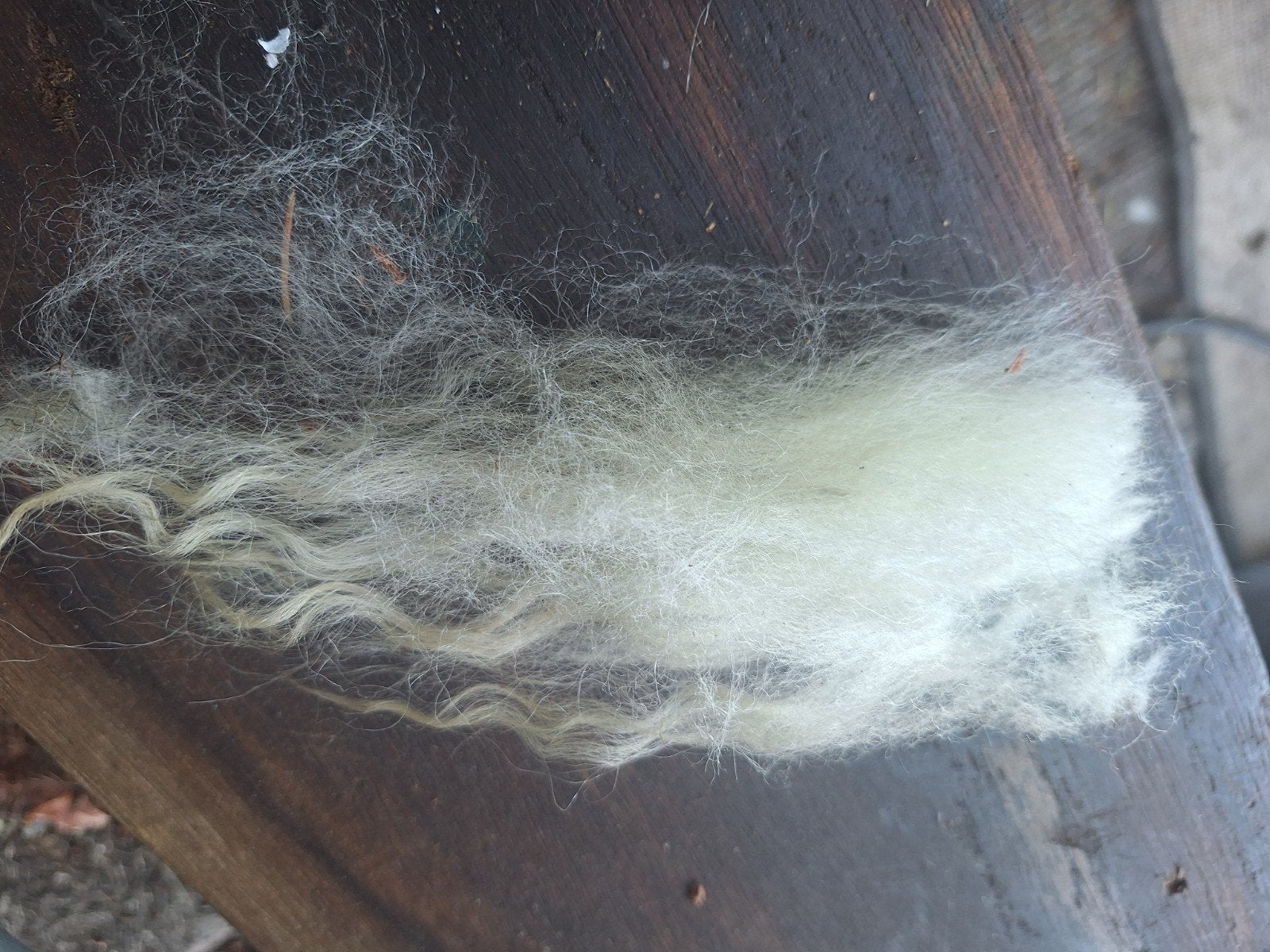 Te koop mooi langen zachte SPINWOL van Skudde lam  7 maand., Ophalen of Verzenden, Nieuw, Spinwol