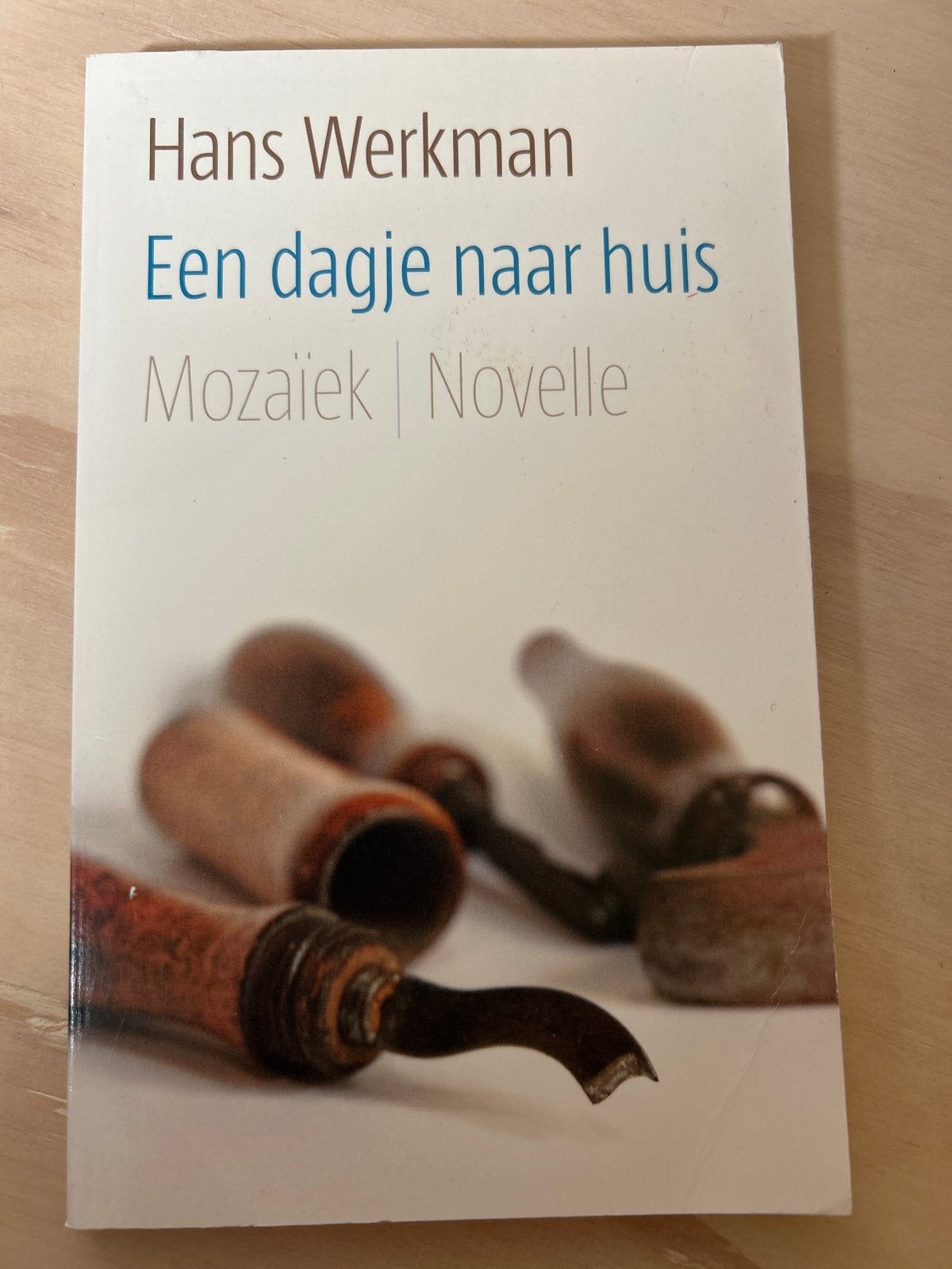 Hans Werkman - Een dagje naar huis (Novelle), Boeken, Ophalen of Verzenden, Zo goed als nieuw, Nederland