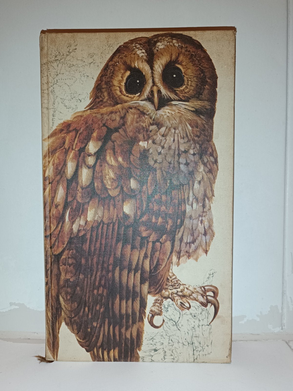 Vintage Vogelboek –Het Beste Vogelboek (Reader's Digest), Ophalen of Verzenden