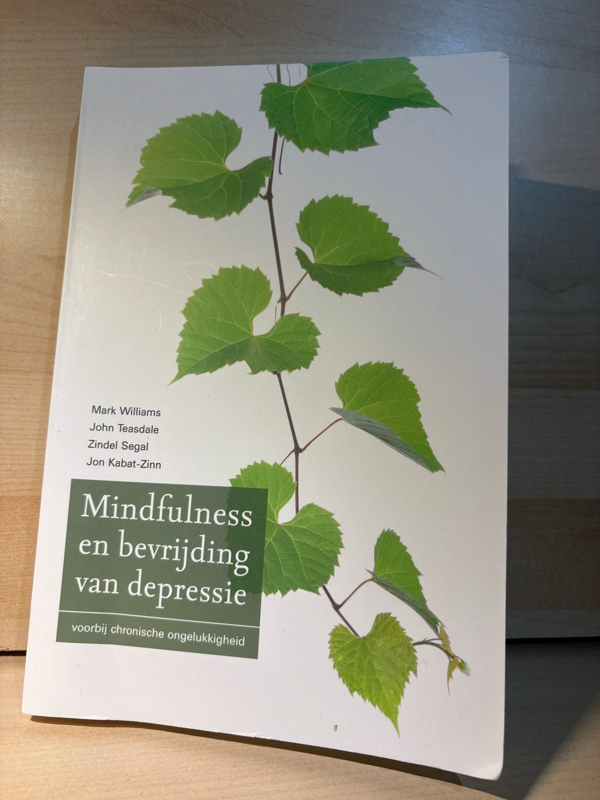 Mindfulness en bevrijding van depressie – voorbij chronische, Boeken, Ophalen of Verzenden