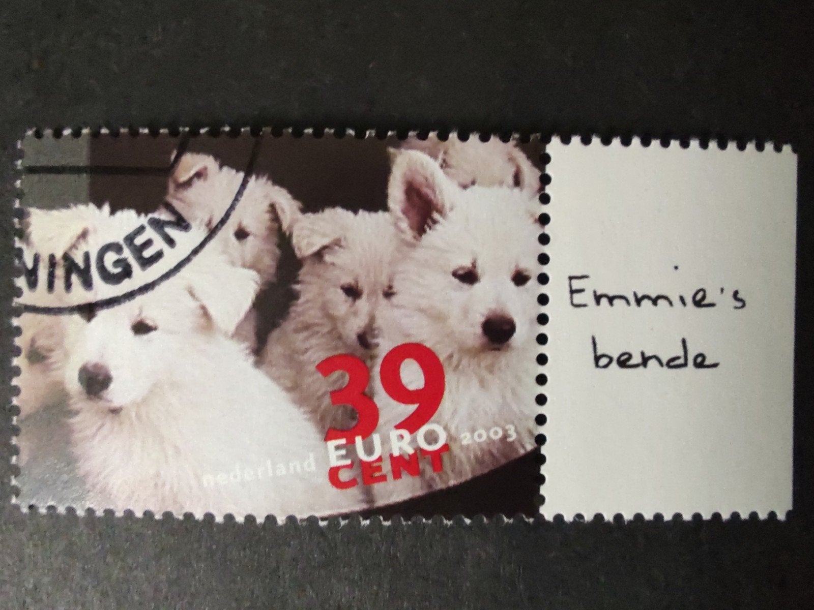 2202 nest puppies 2003 tien mooiste met tab, Verzenden