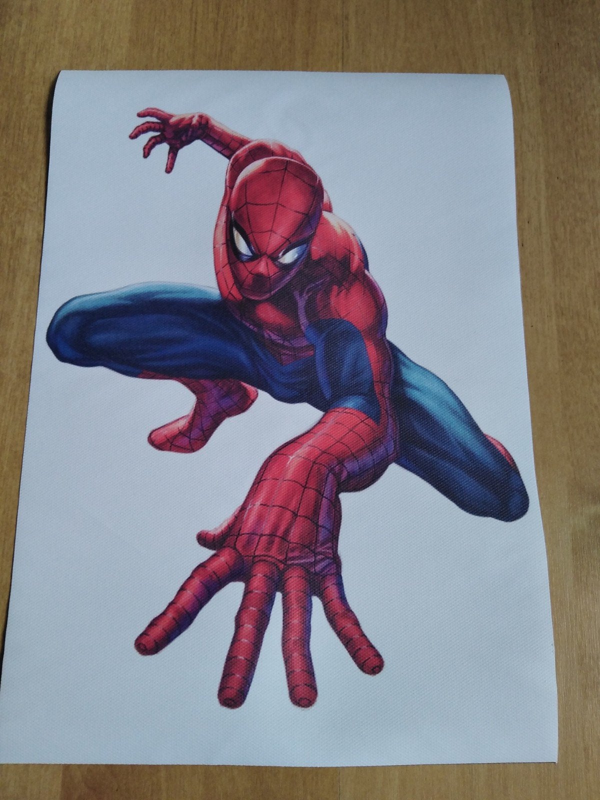 Canvas poster spider man, Minder dan 50 cm, Nieuw, Ophalen of Verzenden, Foto of Poster