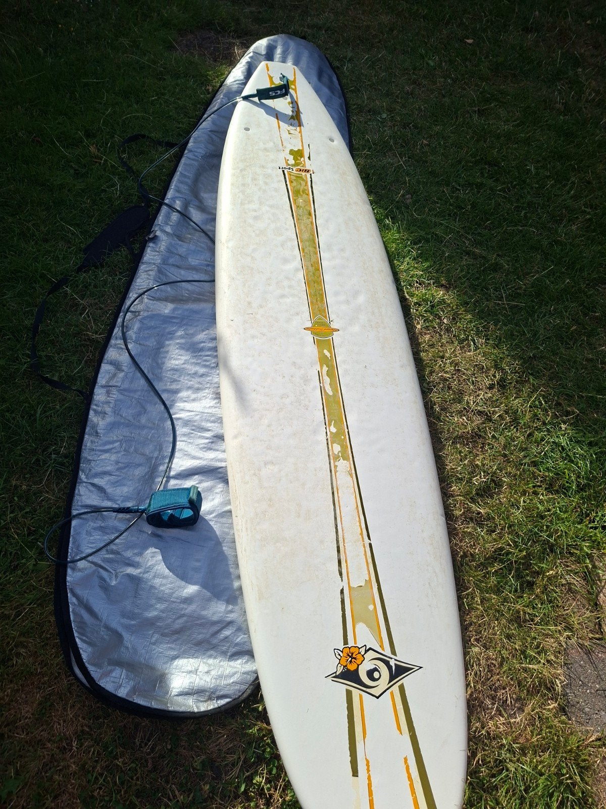 BIC surf board 9.5 In goede staat., Ophalen