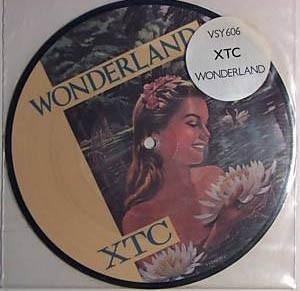 xtc / wonderland - punk/new wave - picture disc, Gebruikt, Verzenden, 7 inch, Single