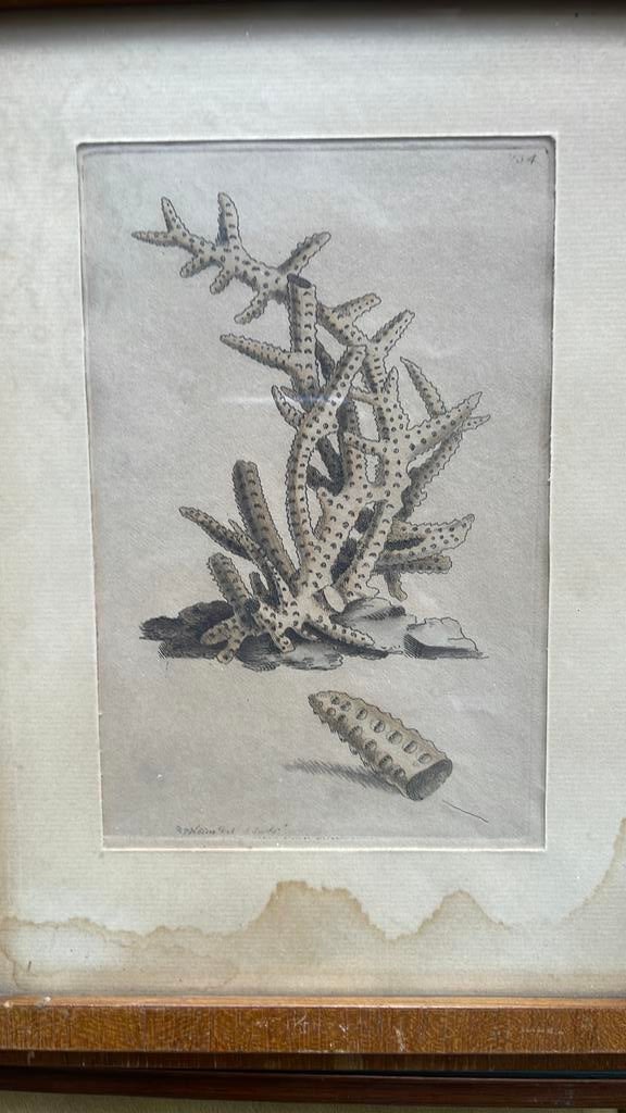 2 Gravures, Ophalen of Verzenden