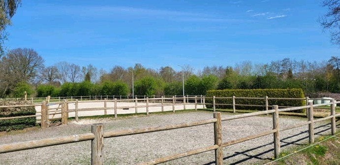 Stalling (vol pension), Dieren en Toebehoren, Stalling en Weidegang, Stalling