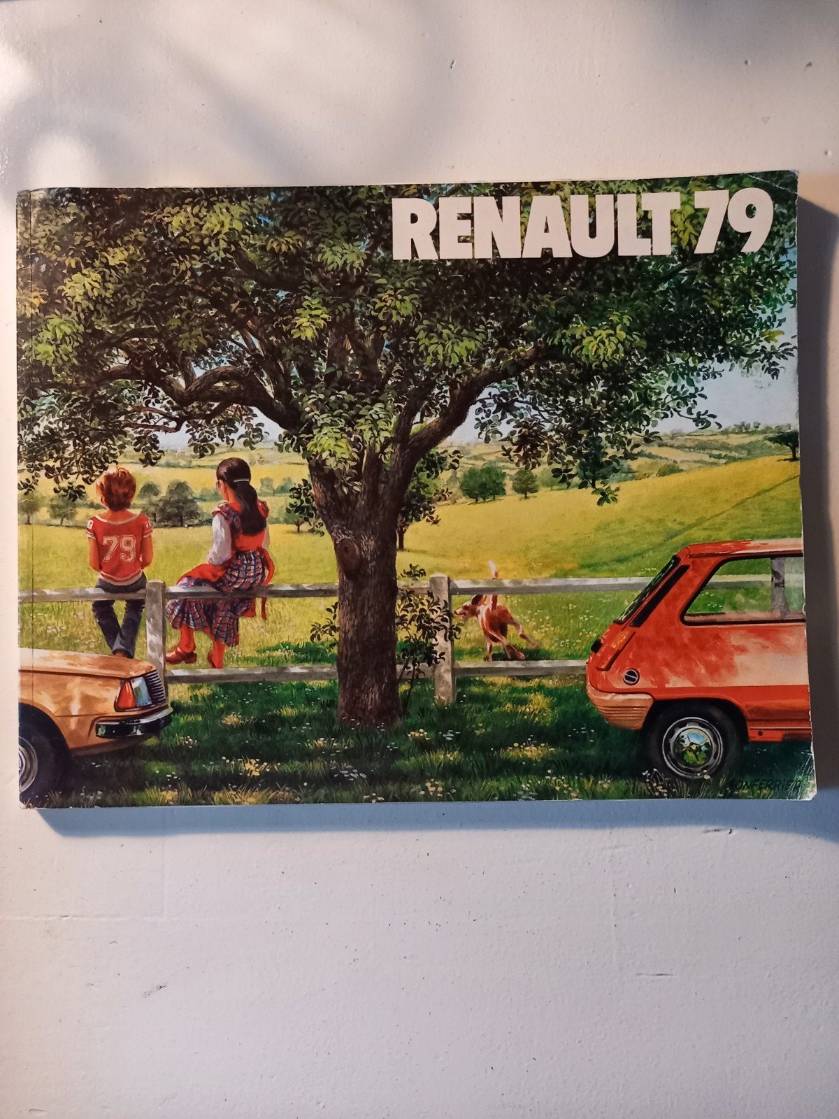 h29 Renault 79 Boek - Zeldzaam Autoboek uit 1979, Ophalen of Verzenden, Gelezen, Renault