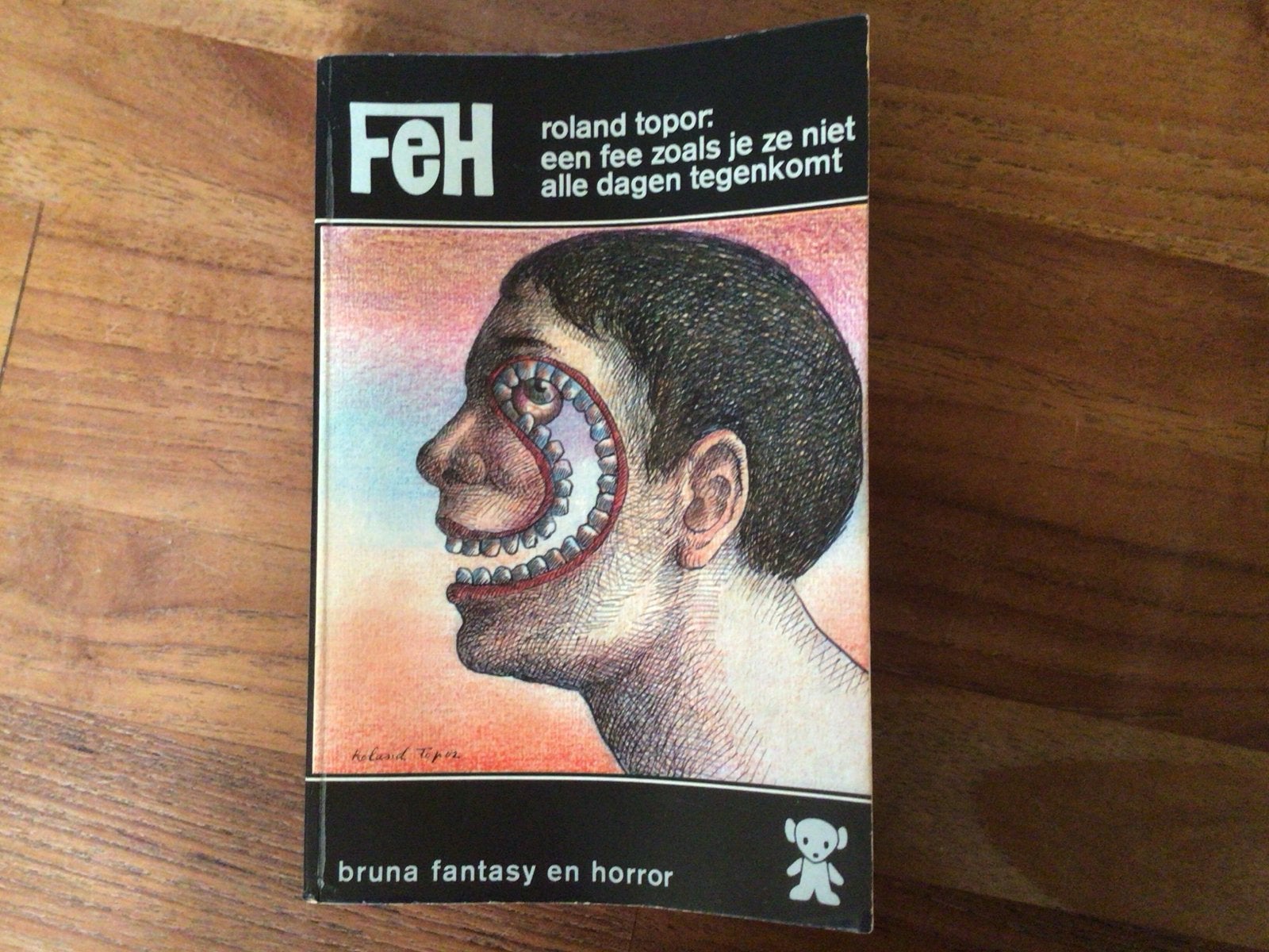 Een fee zoals je ze niet alle dagen tegenkomt - Roland Topor, Verzenden, Gelezen