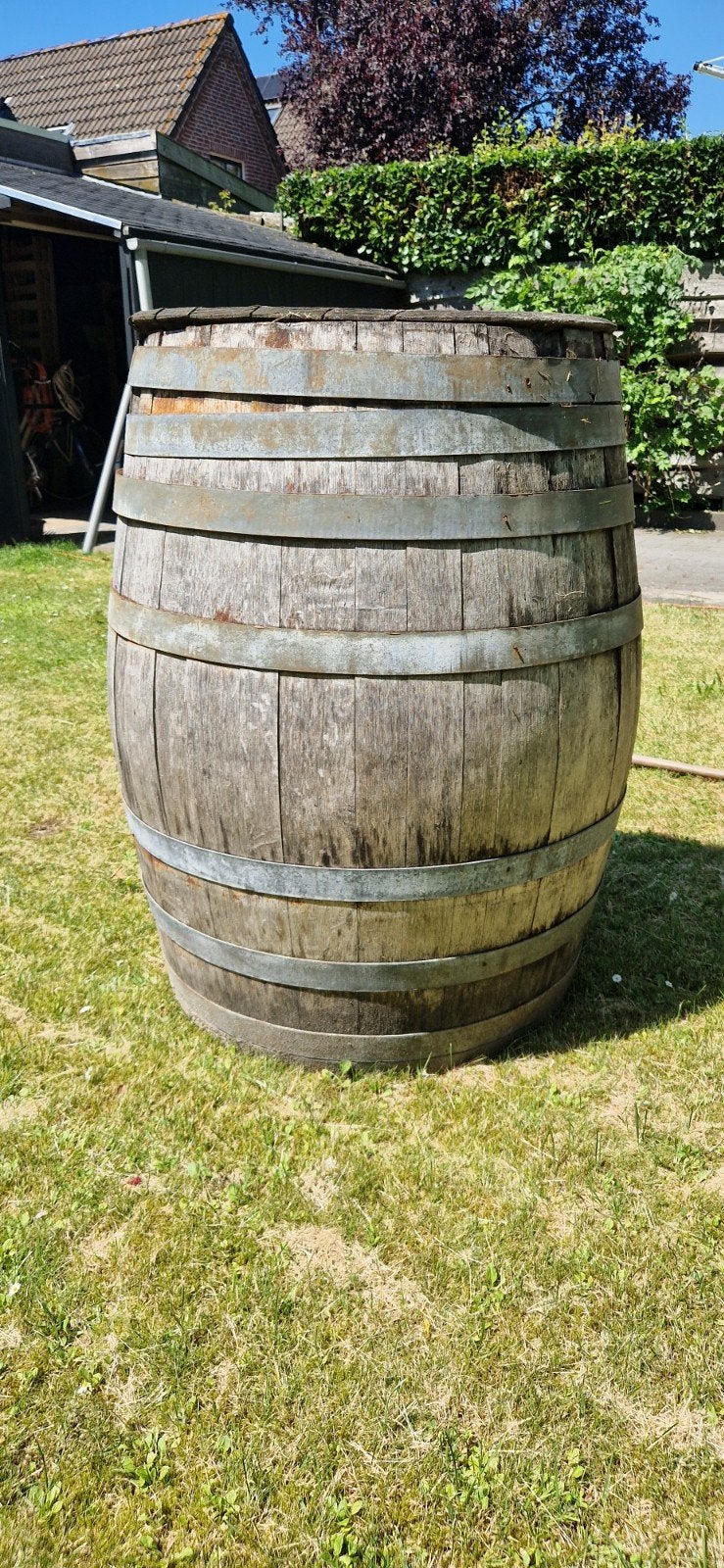 Regenton - wijnvat, 150 liter of meer, Ophalen, Gebruikt, Hout