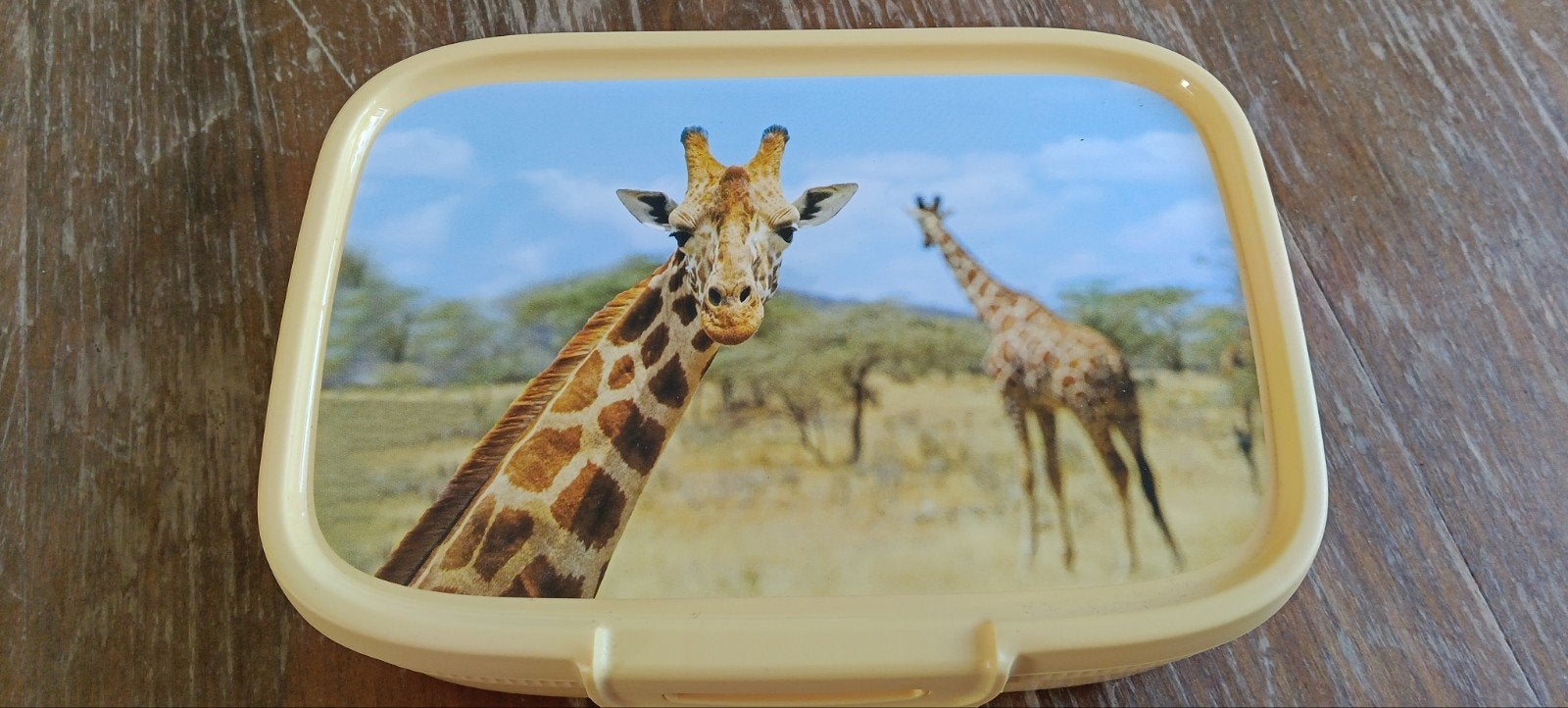 Curver Broodtrommel met Giraffe Print - Zo goed als nieuw, Beige, Kunststof, Ophalen of Verzenden, Zo goed als nieuw
