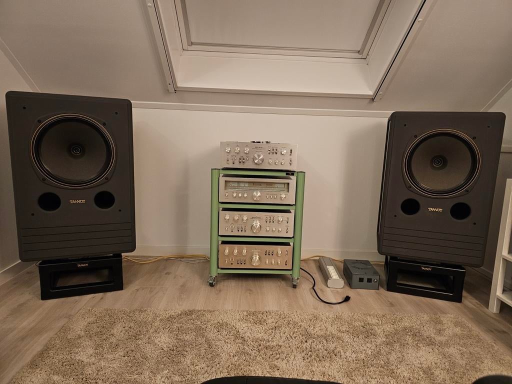 Tannoy DMT 15 MK I – Topstaat – Incl. custom stands, Audio, Tv en Foto, Luidsprekers, Zo goed als nieuw, 120 watt of meer, Front, Rear of Stereo speakers