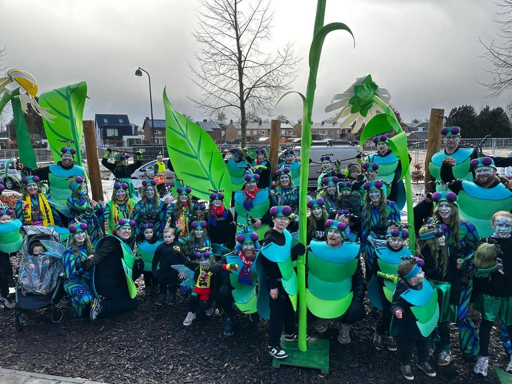 Carnavalskleding Loopgroep Pakken - Insecten/Kever Thema, Ophalen of Verzenden, Gebruikt, 170 of groter, Jongen of Meisje
