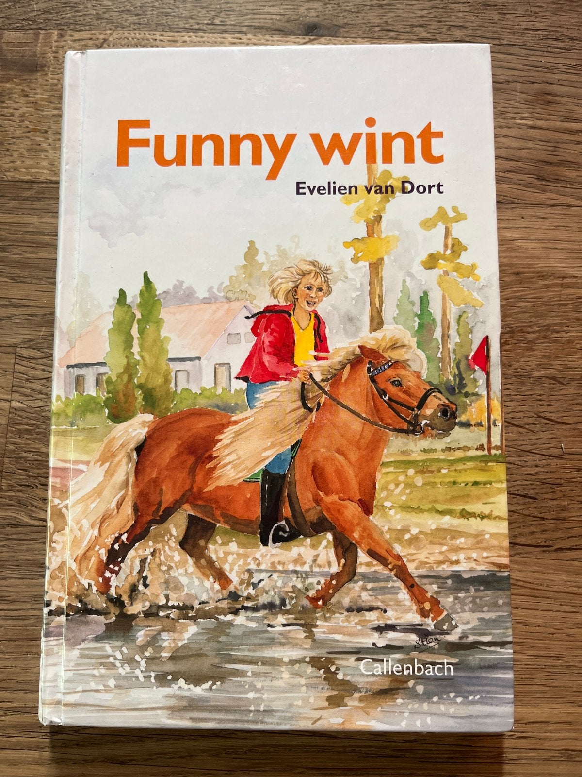 Funny wint - Evelien van Dort (kinderboek), Boeken, Ophalen of Verzenden, Gelezen, Fictie