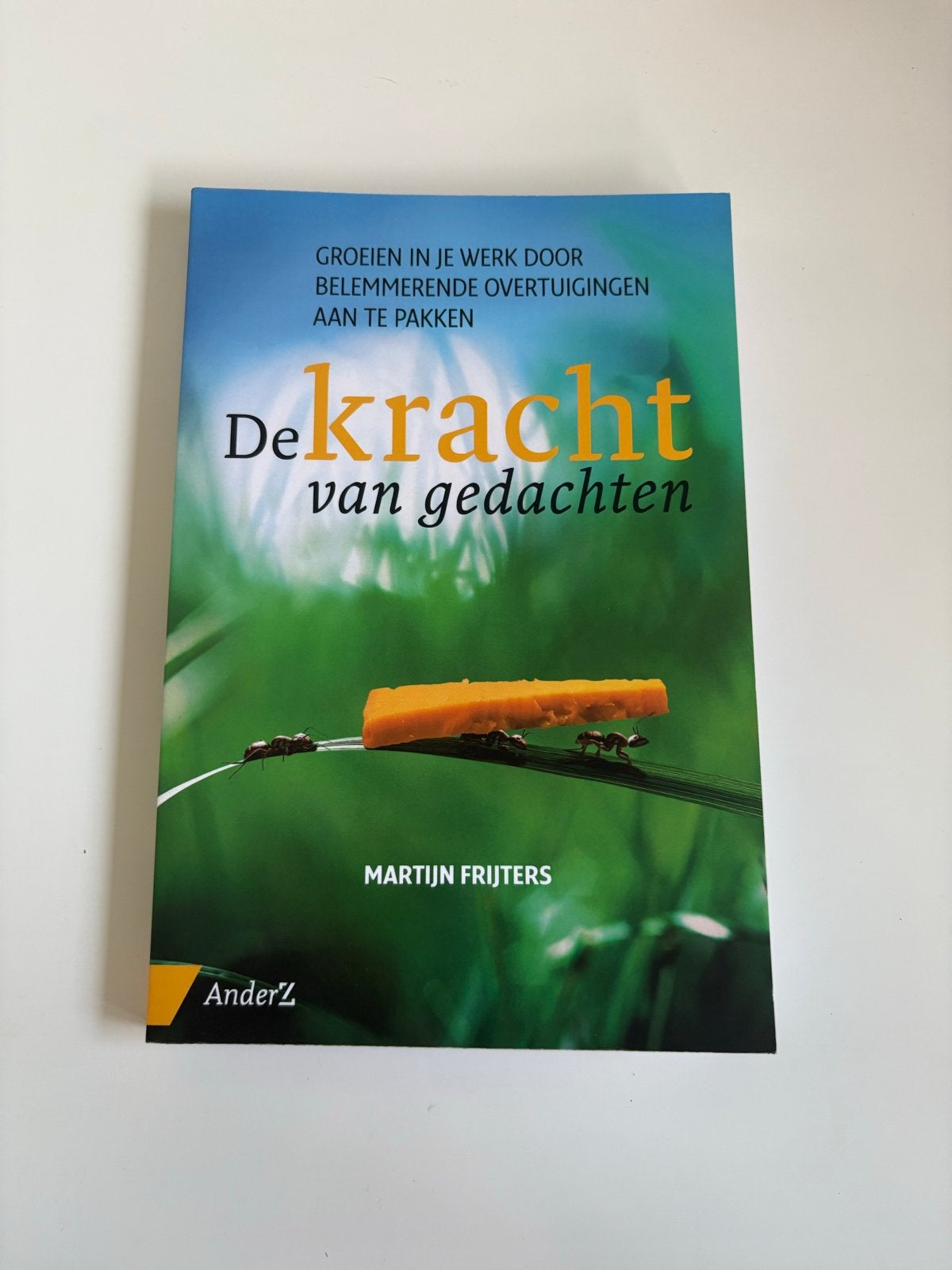 De kracht van gedachten - Martijn Frijters, Ophalen of Verzenden, Zo goed als nieuw