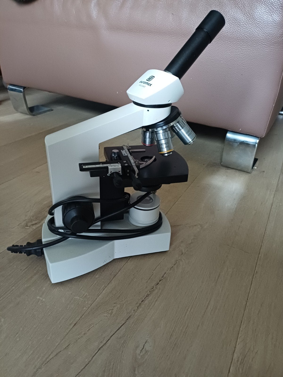 Euromex Biologische Microscoop - Ongebruikt, Ophalen of Verzenden, Nieuw, 400x tot 1000x, Biologische microscoop