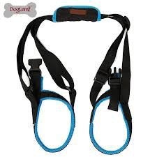 Dog Lemi Honden draag harnas M zwart, Dieren en Toebehoren, Verzenden, Zo goed als nieuw, Hondenriem-accessoire