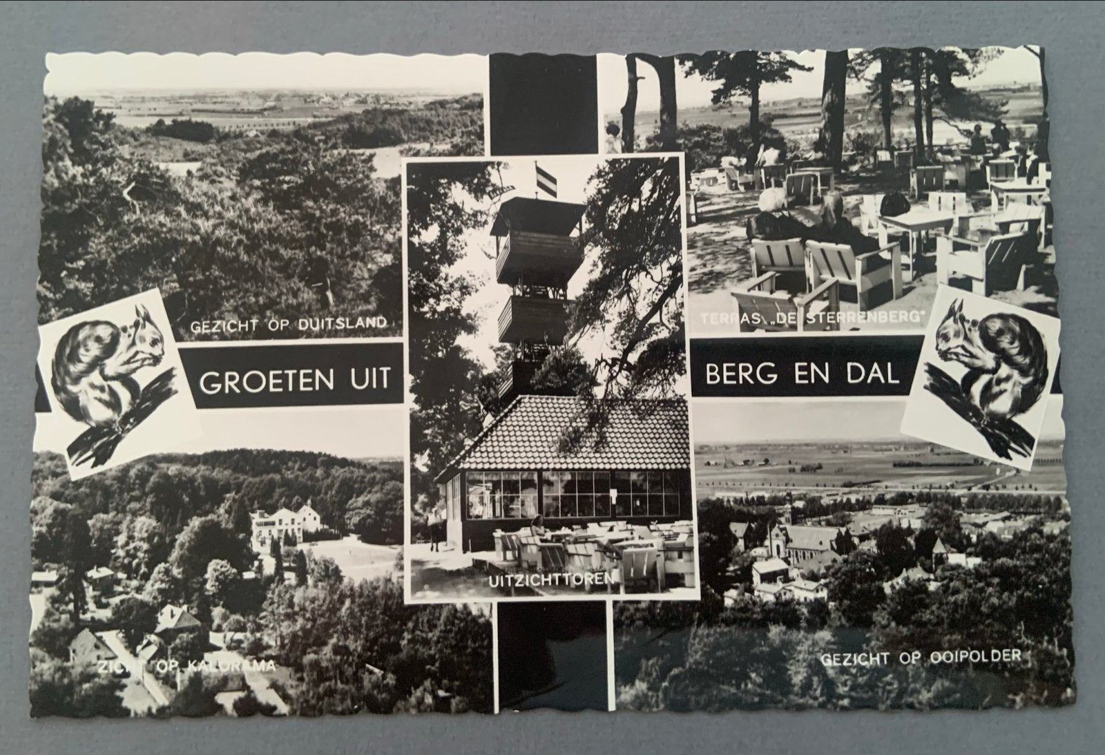 Berg en Dal - Café - Restaurant "DE STERRENBERG’, Verzenden, 1940 tot 1960, Ongelopen, Gelderland