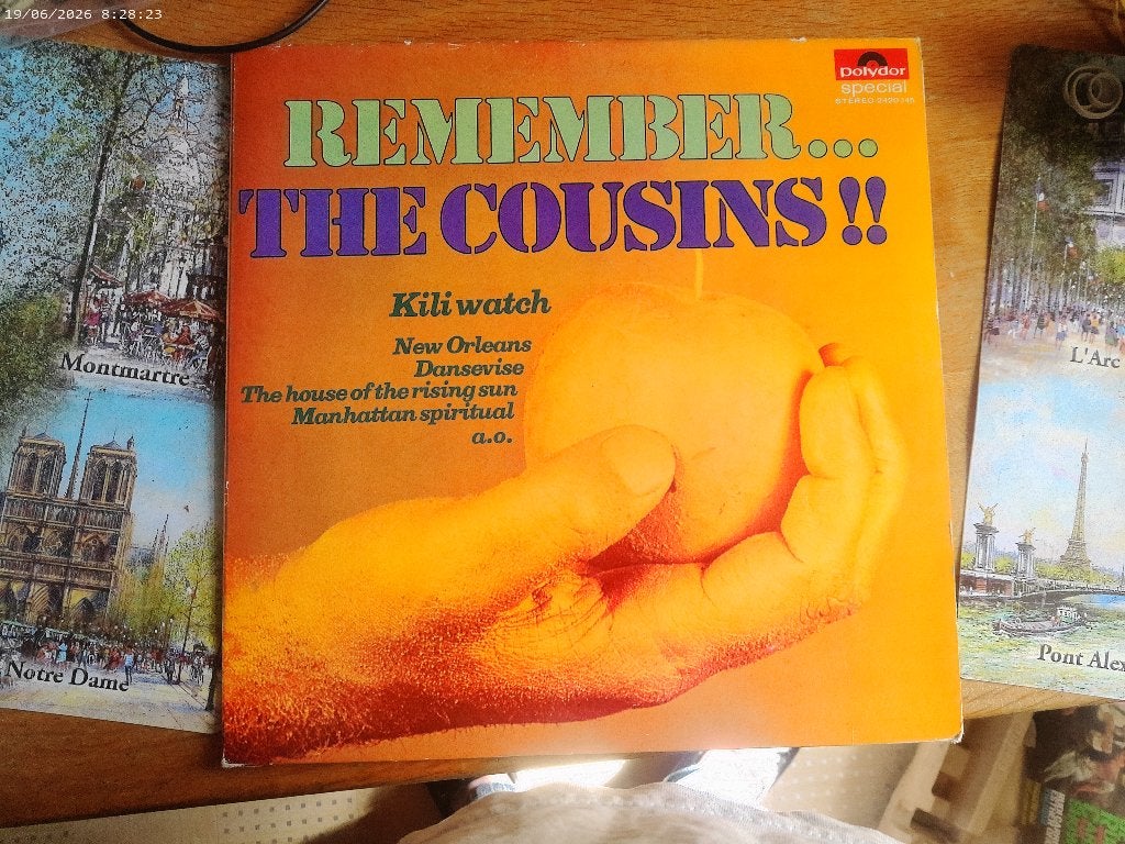 LP remember The Cousins, Complilatie, Ophalen of Verzenden, Gebruikt, 12 inch