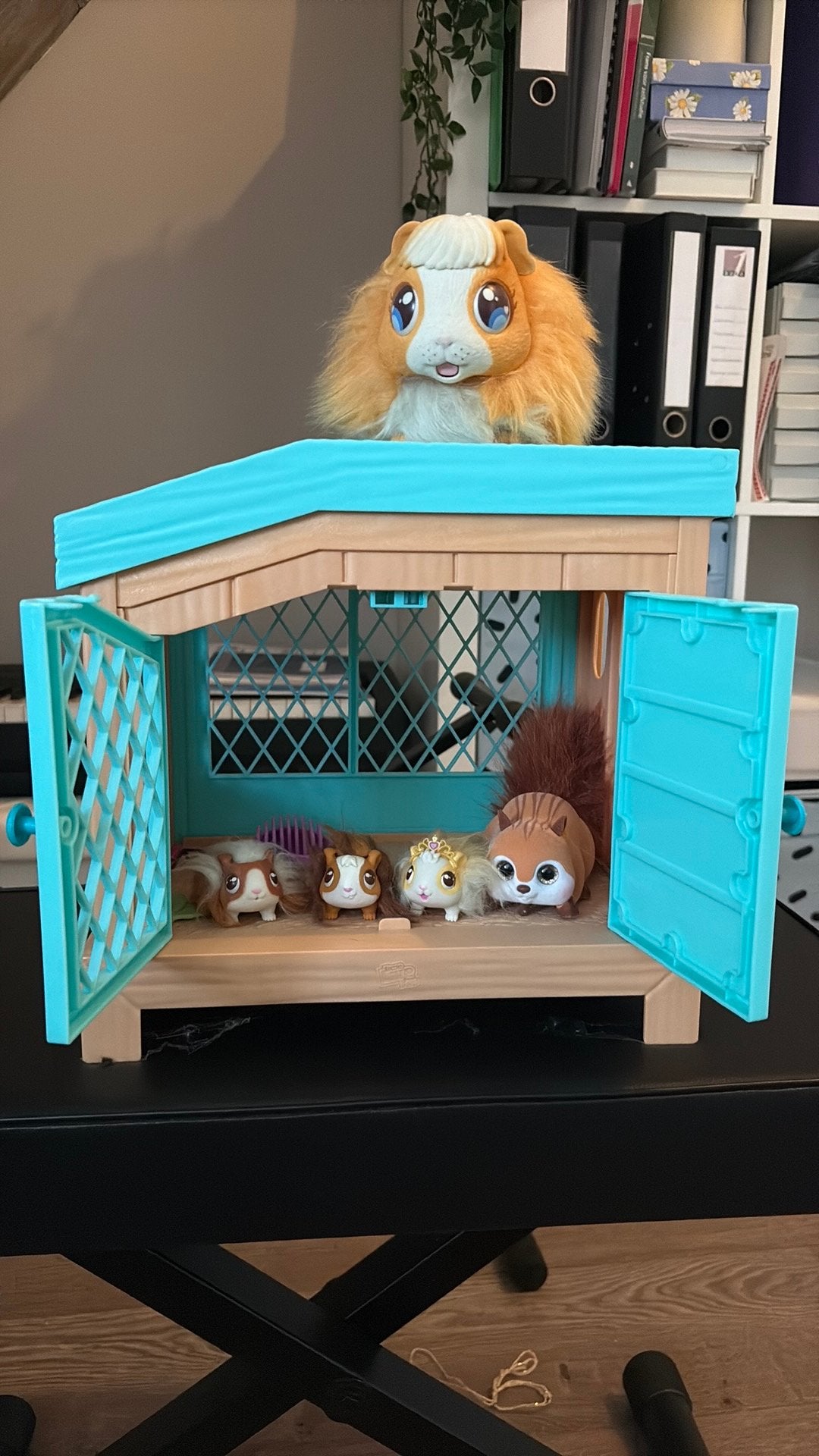 Cavia met baby’s, Ophalen, Zo goed als nieuw, Overige typen