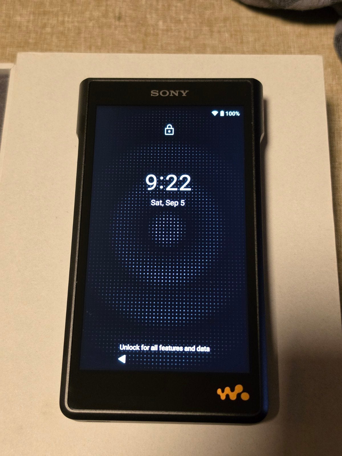 Sony NW-WM1AM2 Walkman DAP., Ophalen of Verzenden, Zo goed als nieuw, Sony, 40 GB en meer