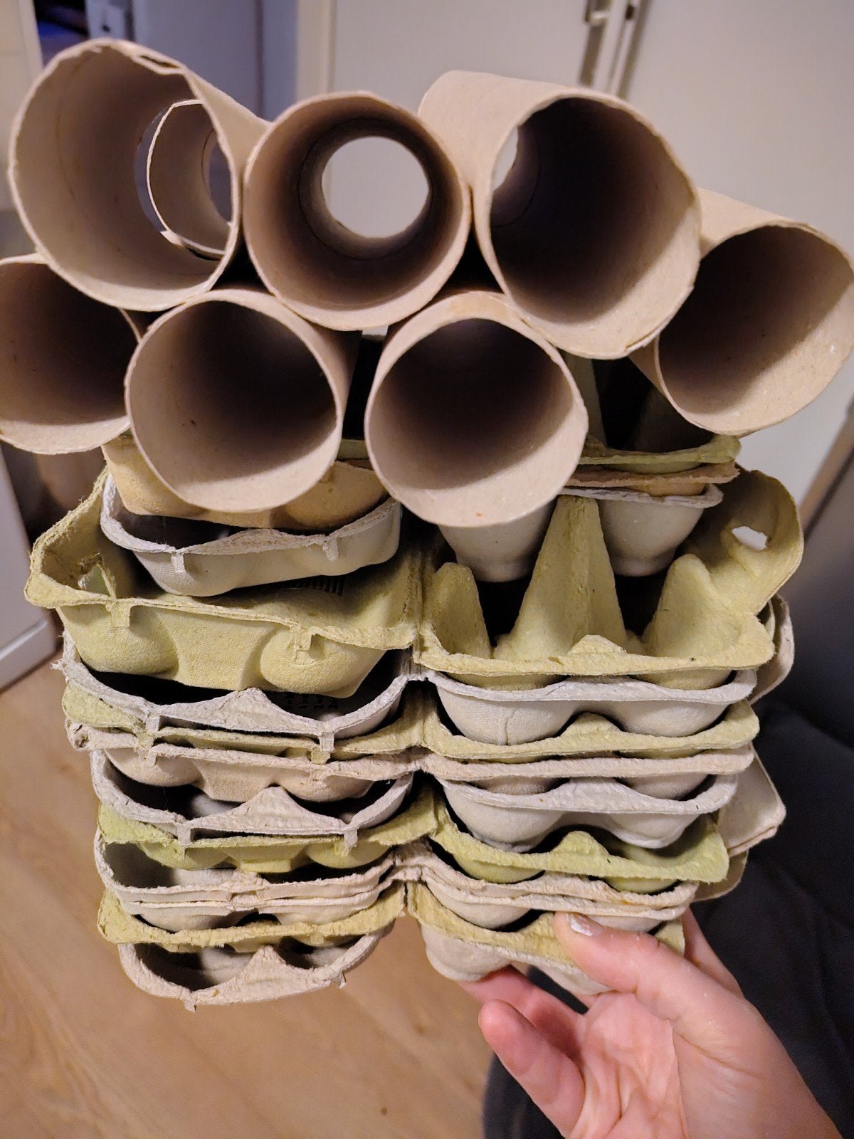Knutselpakket: Eierdozen en Keukenrollen, Ophalen, Gebruikt, Educatief, Papier of Karton