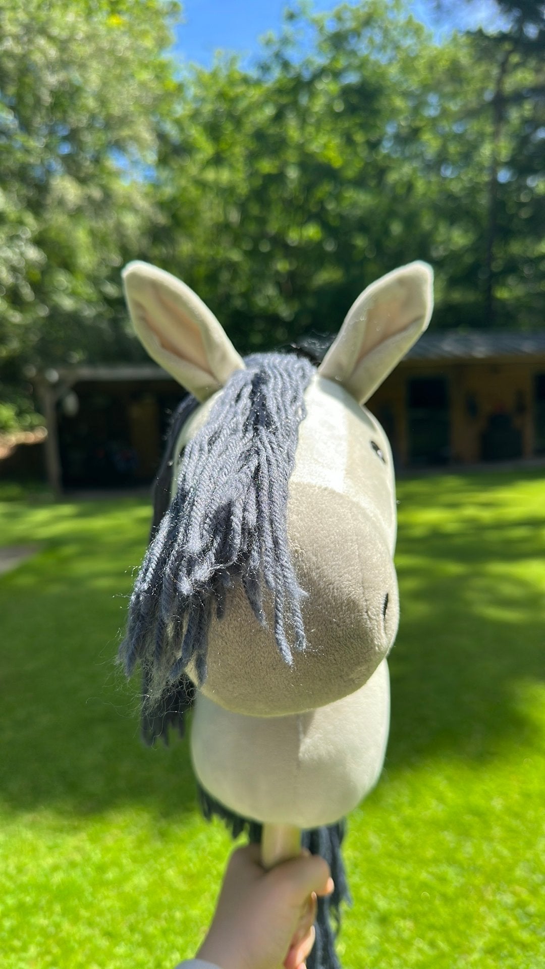 Hobby horses te koop, Ophalen