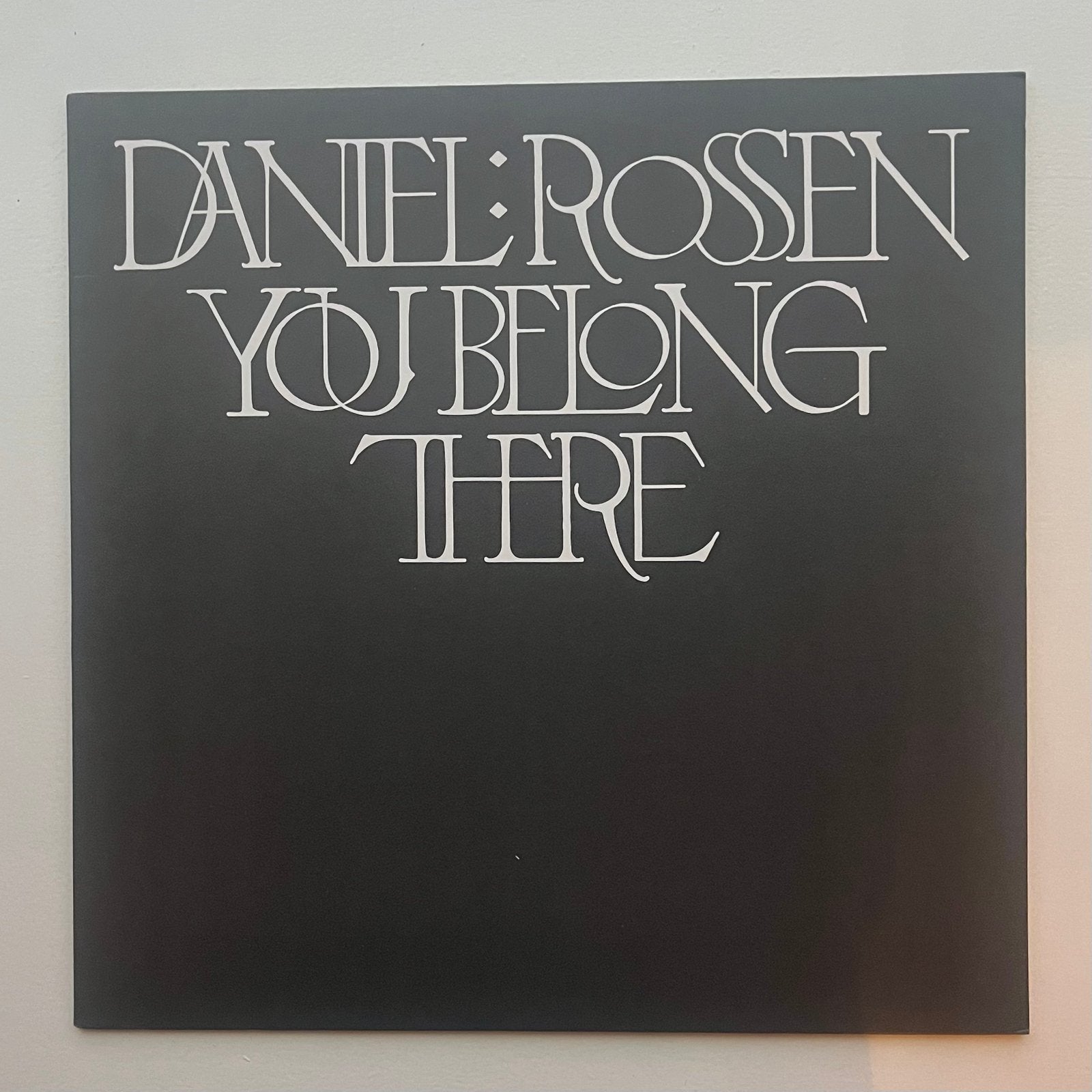 Daniel Rossen - You belang there vinyl, Ophalen of Verzenden