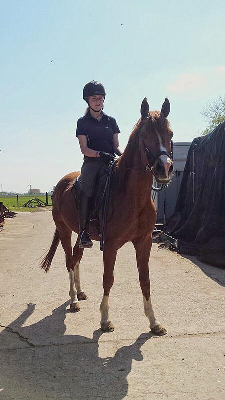 Aangeboden: verzorger / bijrijder, Dieren en Toebehoren, Paarden en Pony's | Overige Paardenspullen, Ophalen, Recreatie