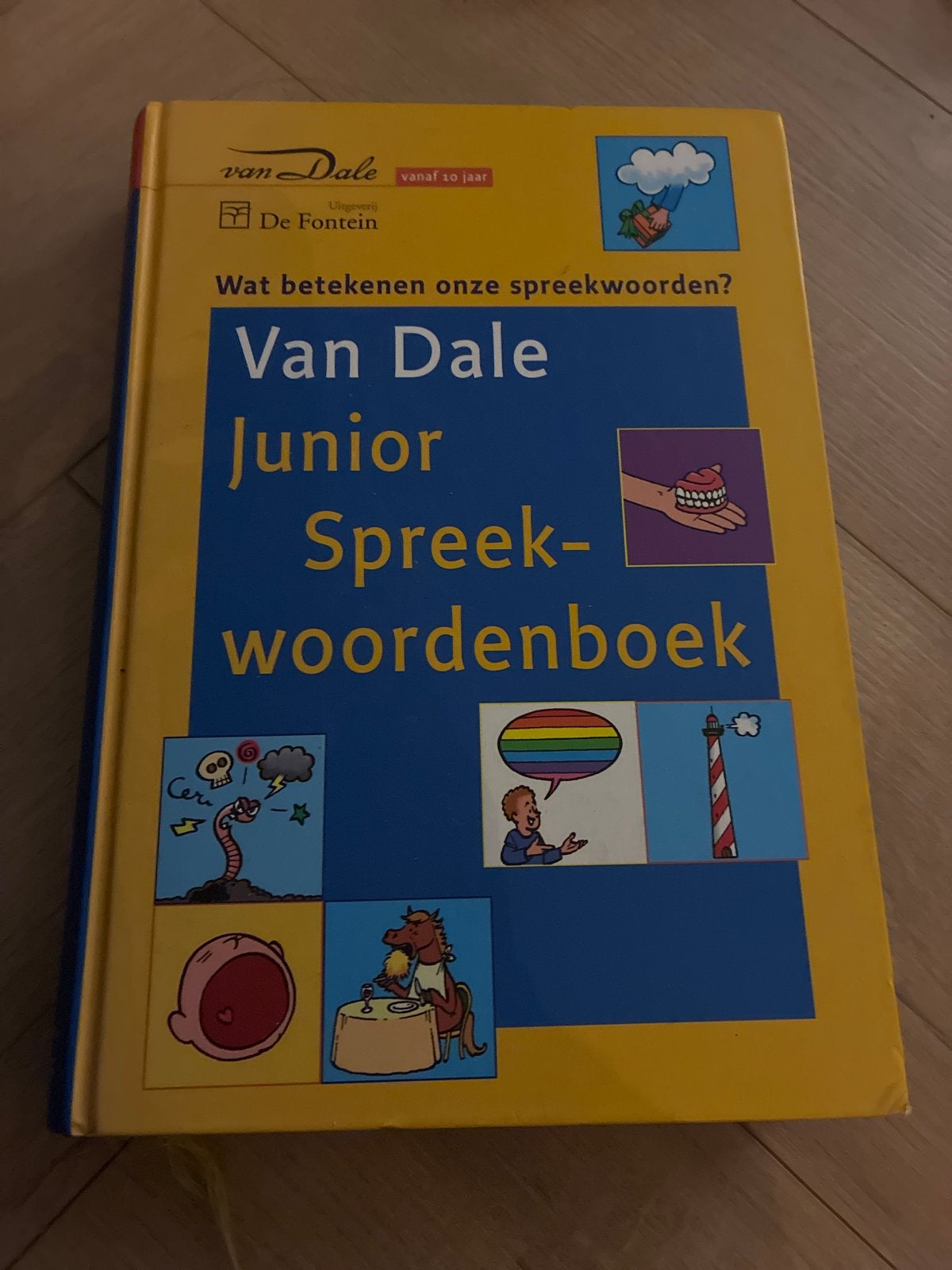 Van Dale Junior Spreekwoordenboek - vanaf 10 jaar, Ophalen of Verzenden, Zo goed als nieuw, Overige uitgevers, Nederlands