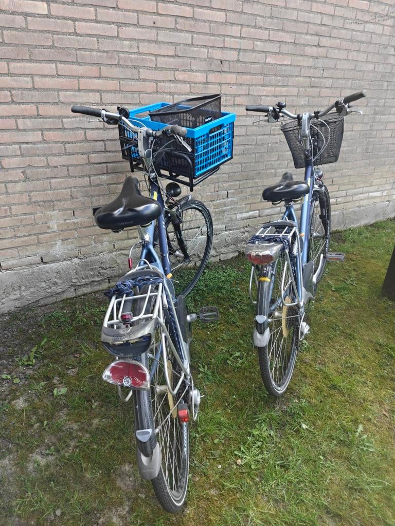Twee Gazelle Bahia fietsen met mand, Ophalen, Gebruikt, Versnellingen, 50 tot 53 cm