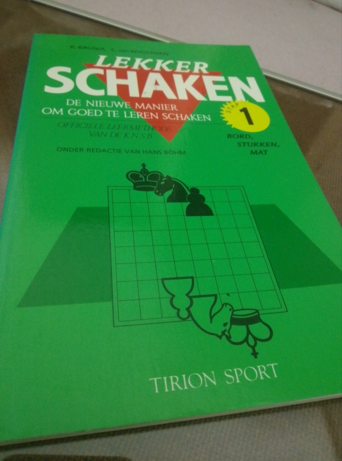Lekker Schaken 1: De nieuwe manier om goed te leren schaken, Ophalen of Verzenden, Zo goed als nieuw, R. Brunia, C. van Wijgerden