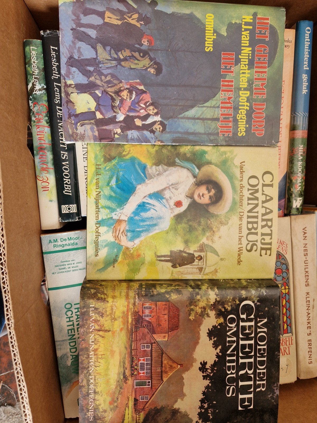 Diverse boeken: Omnibus, romans en meer, Boeken, Ophalen of Verzenden, Gelezen, H.J. van Nijnatten-Doffegnies, Liesbeth Lems, Mila Koopman