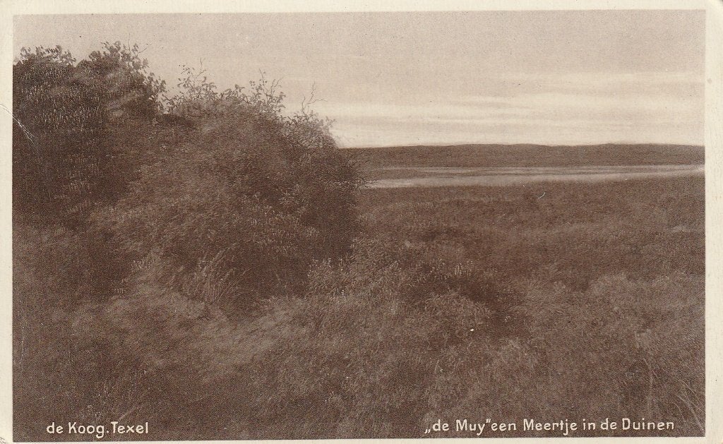 Texel     de Muy, Ophalen of Verzenden, 1920 tot 1940, Gelopen, Waddeneilanden