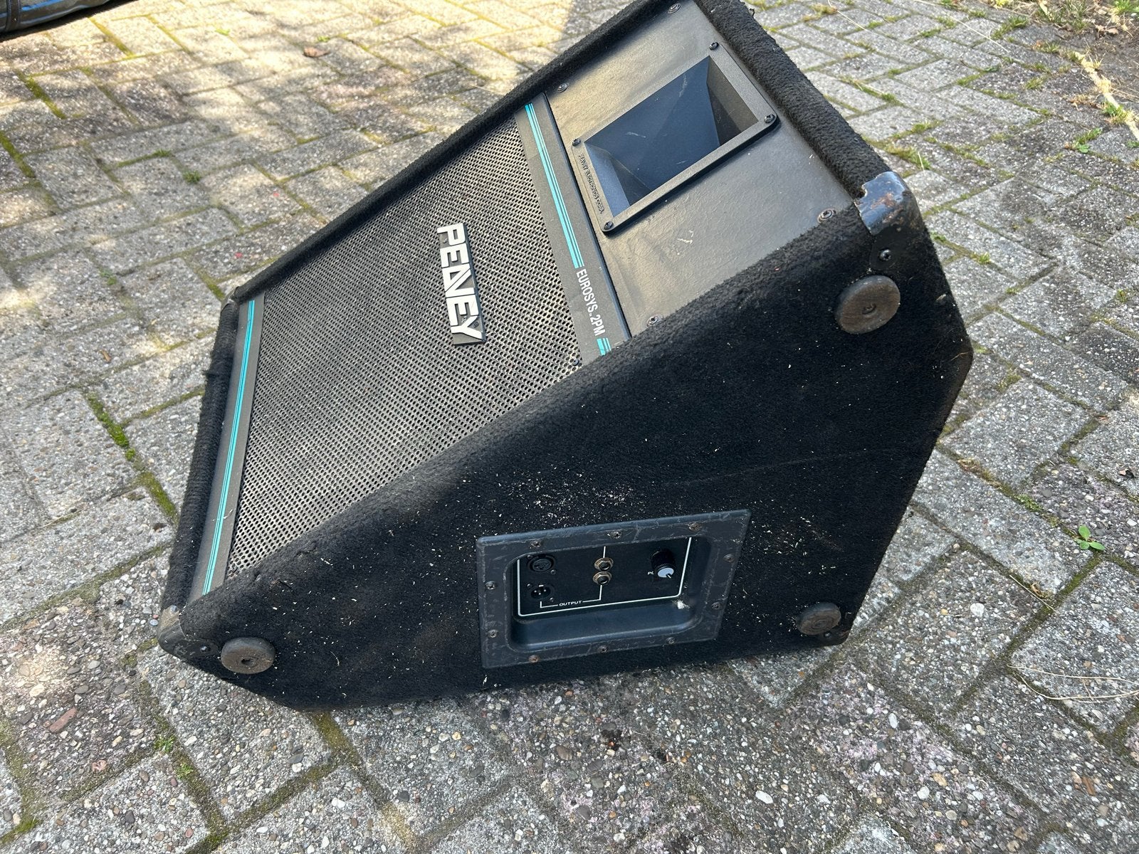 2x Peavey Eurosys 2PM 15 inch actieve monitoren, Ophalen, Gebruikt, Studiomonitor, Overige merken
