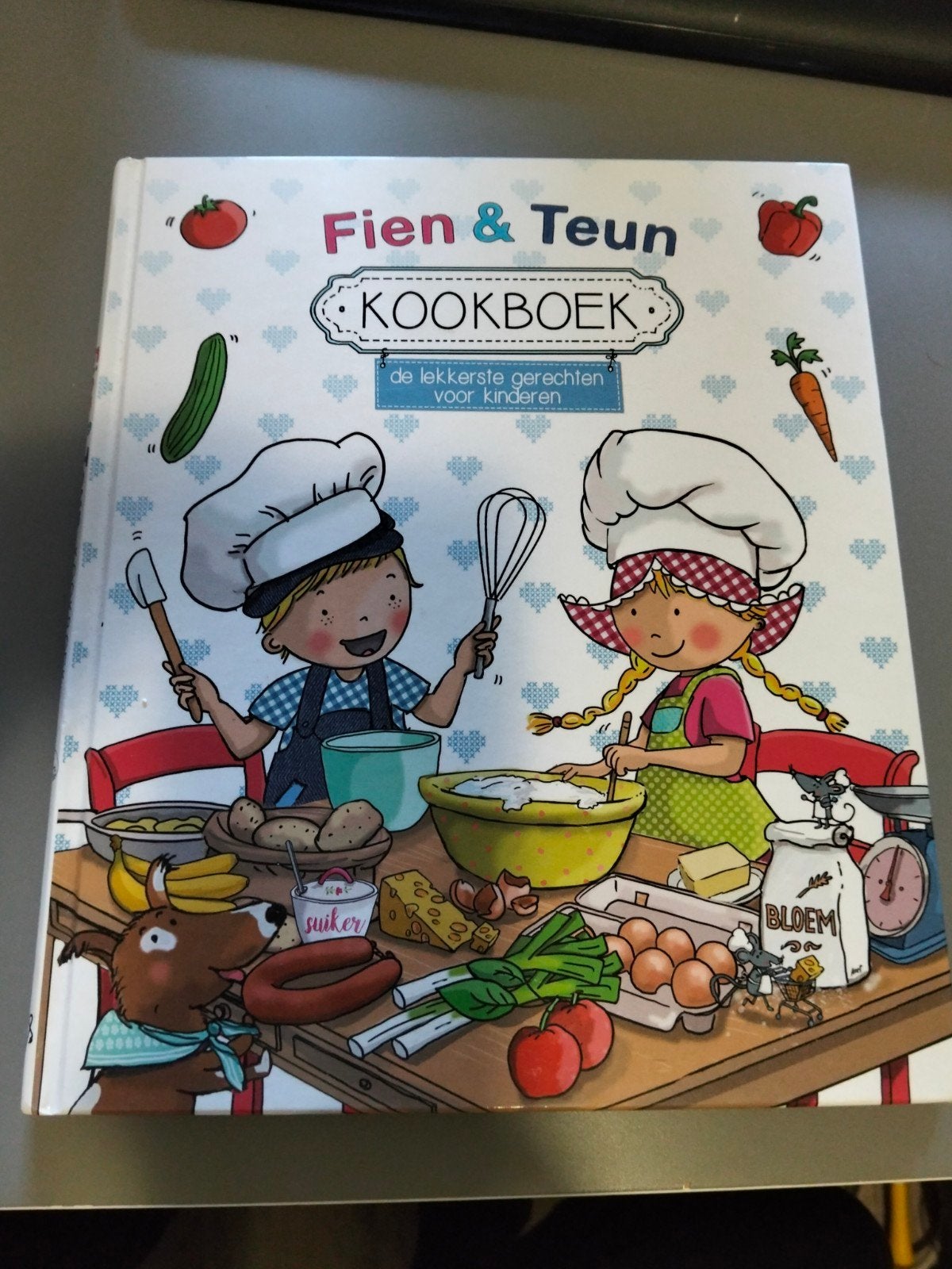 Fien & Teun Kookboek: De lekkerste gerechten voor kinderen, Ophalen of Verzenden
