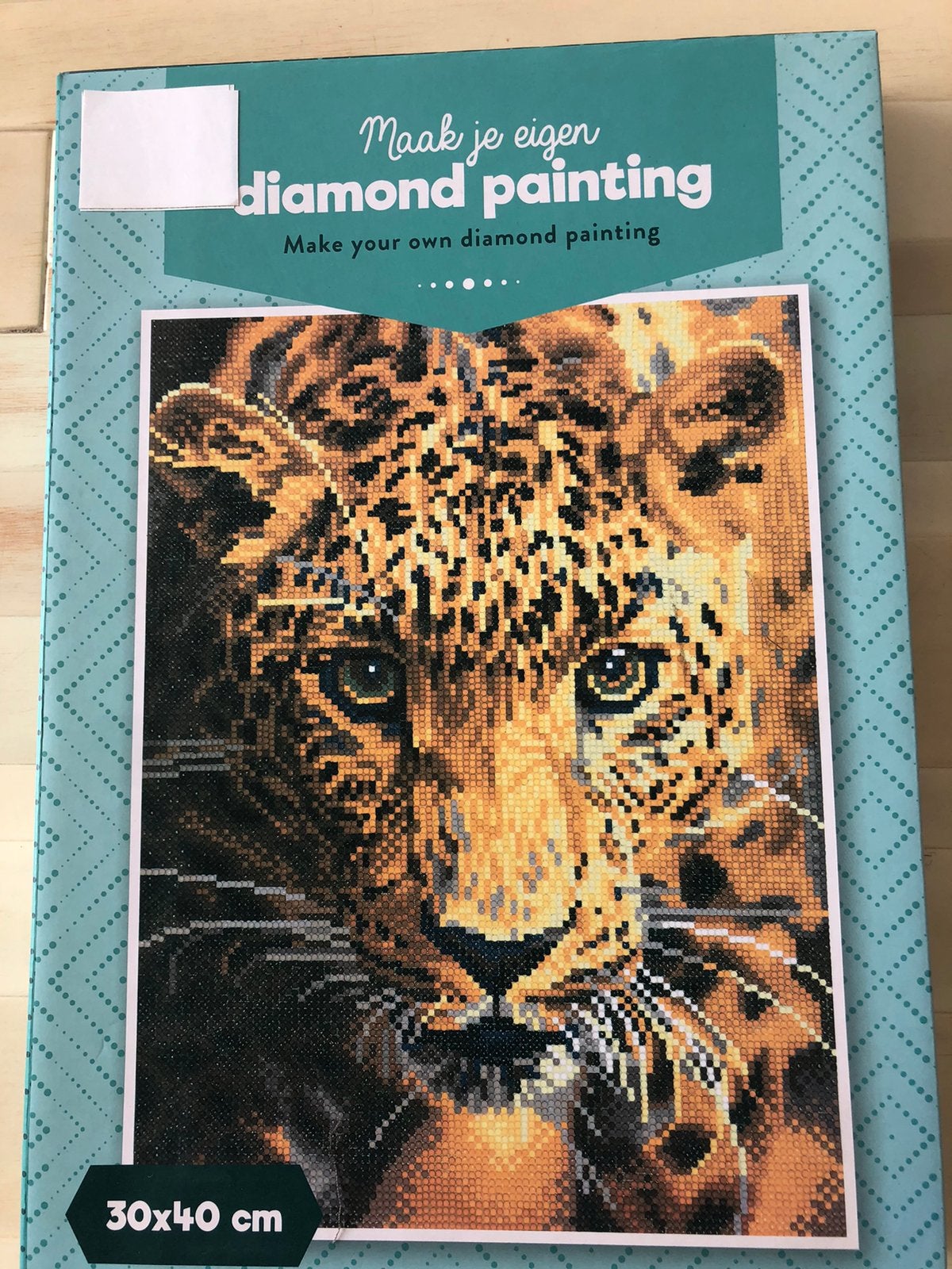 Daimond Painting, Ophalen of Verzenden, Nieuw