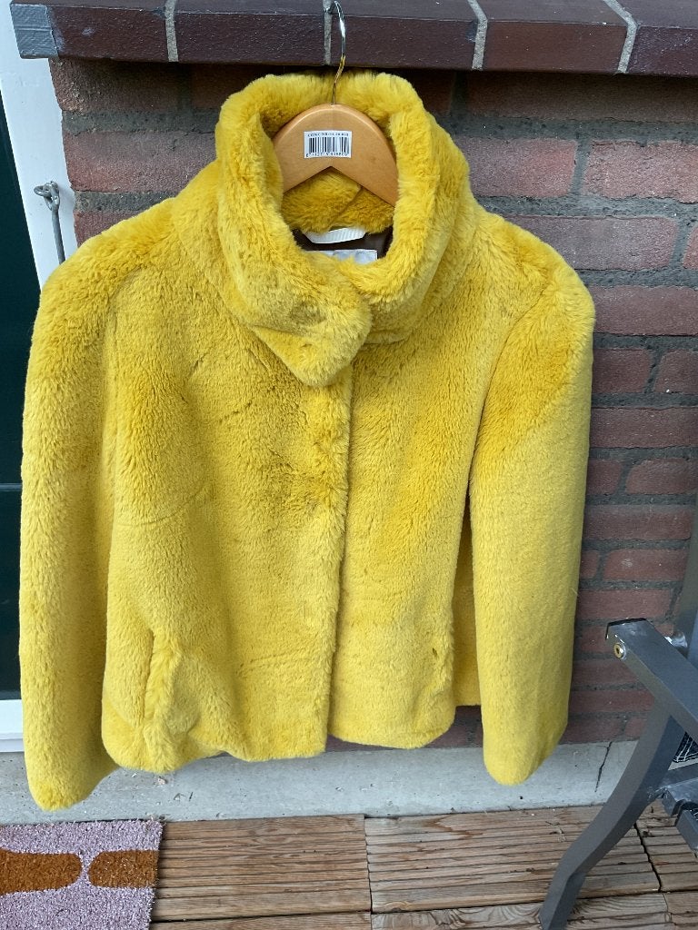 Winterjas, Ophalen, Nieuw, Sneakers of Gympen, Geel