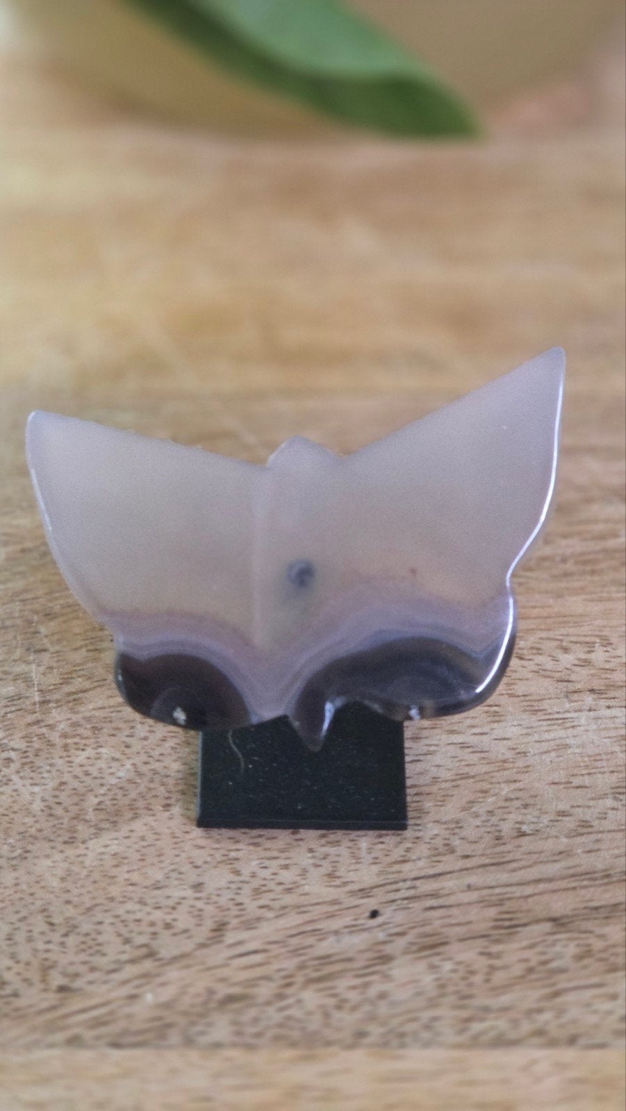Agaat vlinder 5 x 6 cm, Ophalen of Verzenden