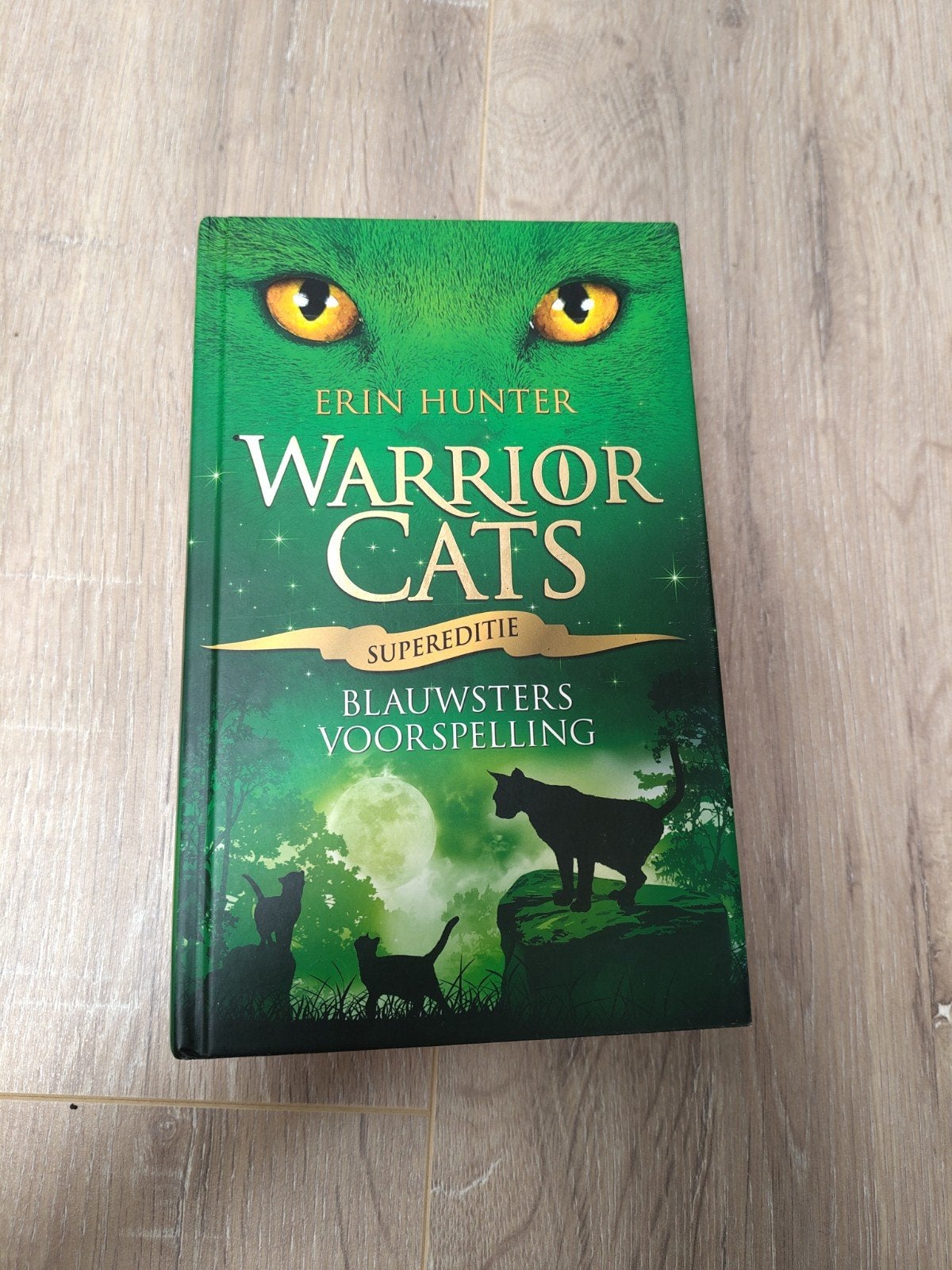 Erin Hunter - Blauwsters voorspelling, Boeken, Ophalen of Verzenden, Zo goed als nieuw, Erin Hunter