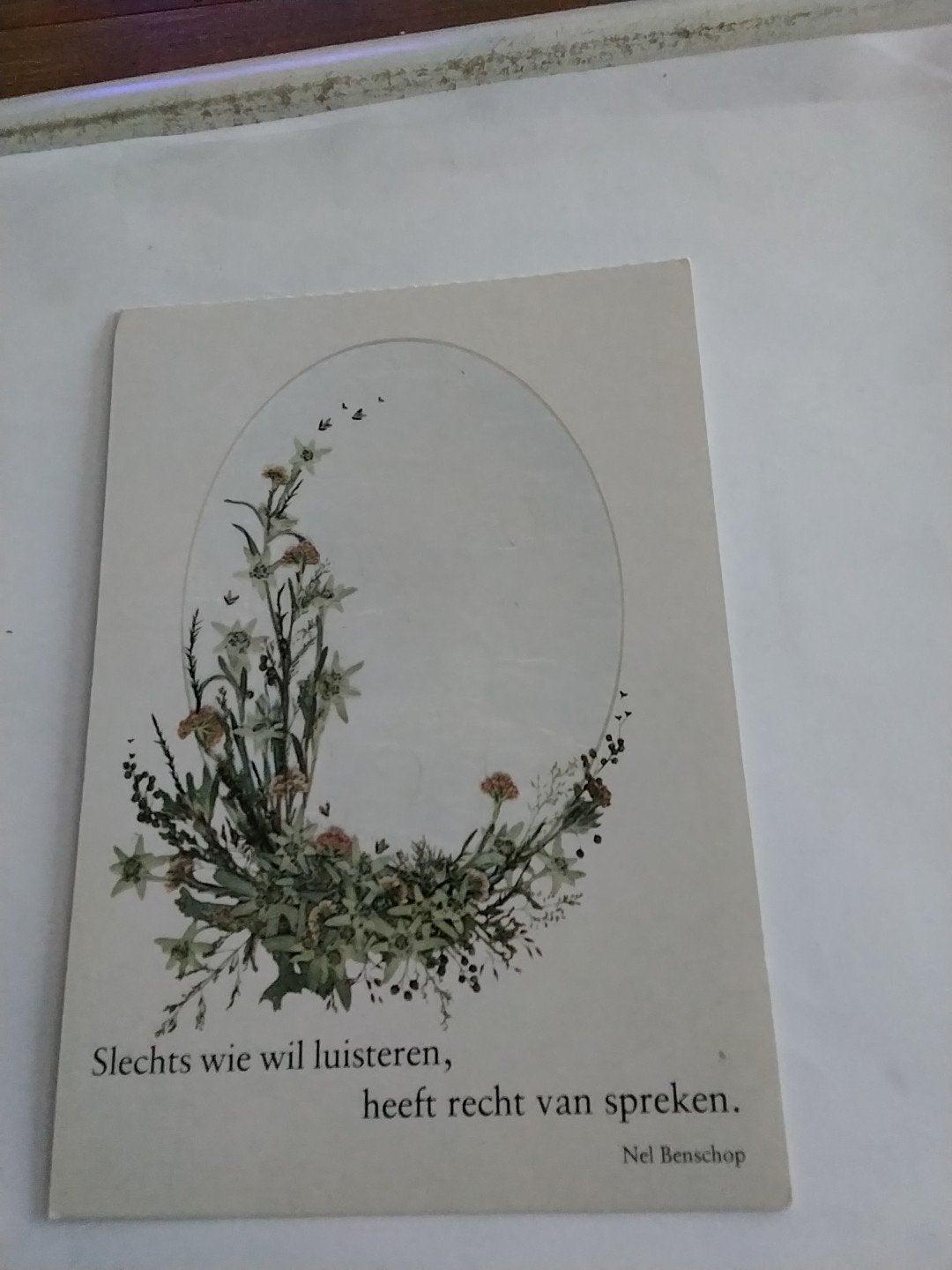 Ansichtkaart Nel Benschop - Slechts wie wil luisteren, Ophalen of Verzenden, 1980 tot heden, Ongelopen