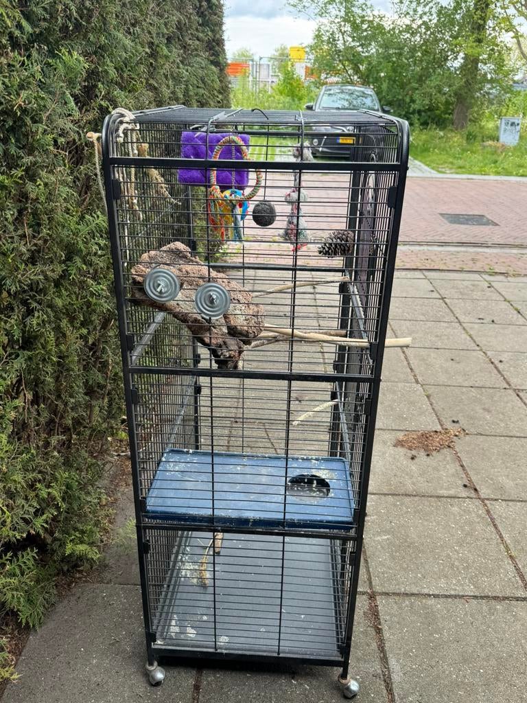 Volière kooi, Dieren en Toebehoren, Ophalen, Gebruikt, Aluminium, Vogelkooi