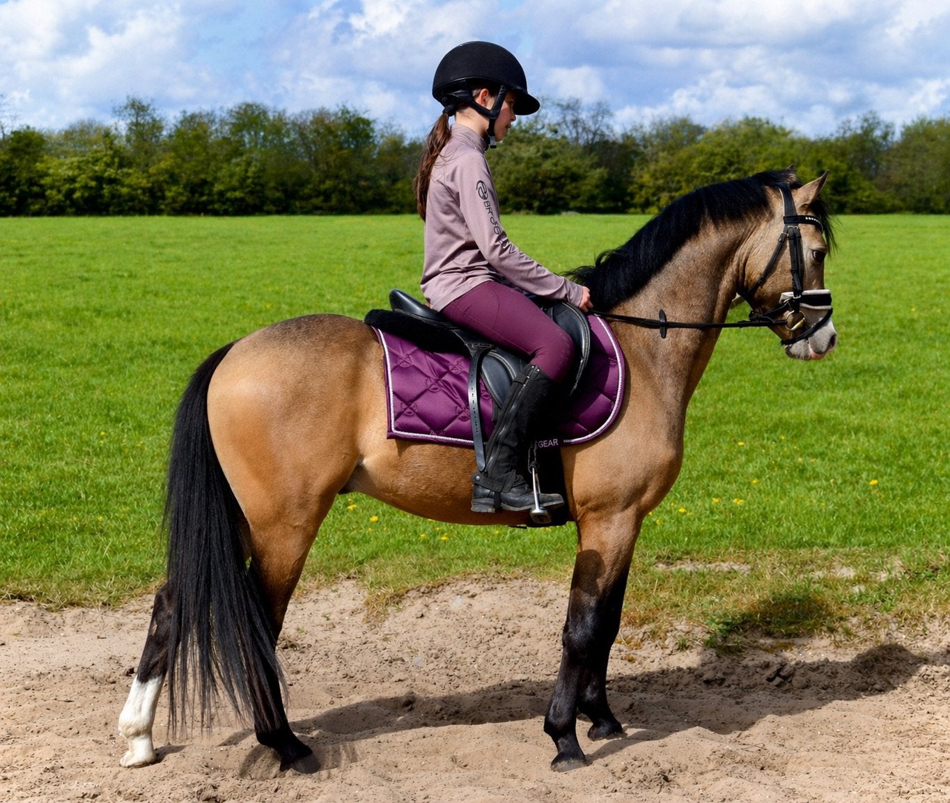 Lieve C, VALK pony🤩, Met stamboom, Ruin, 3 tot 6 jaar, L