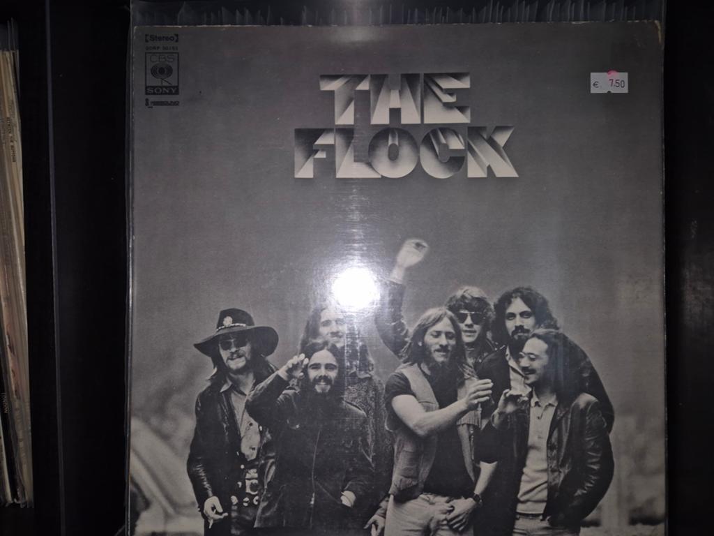 Flock lp, Verzenden, Gebruikt, 12 inch, Poprock