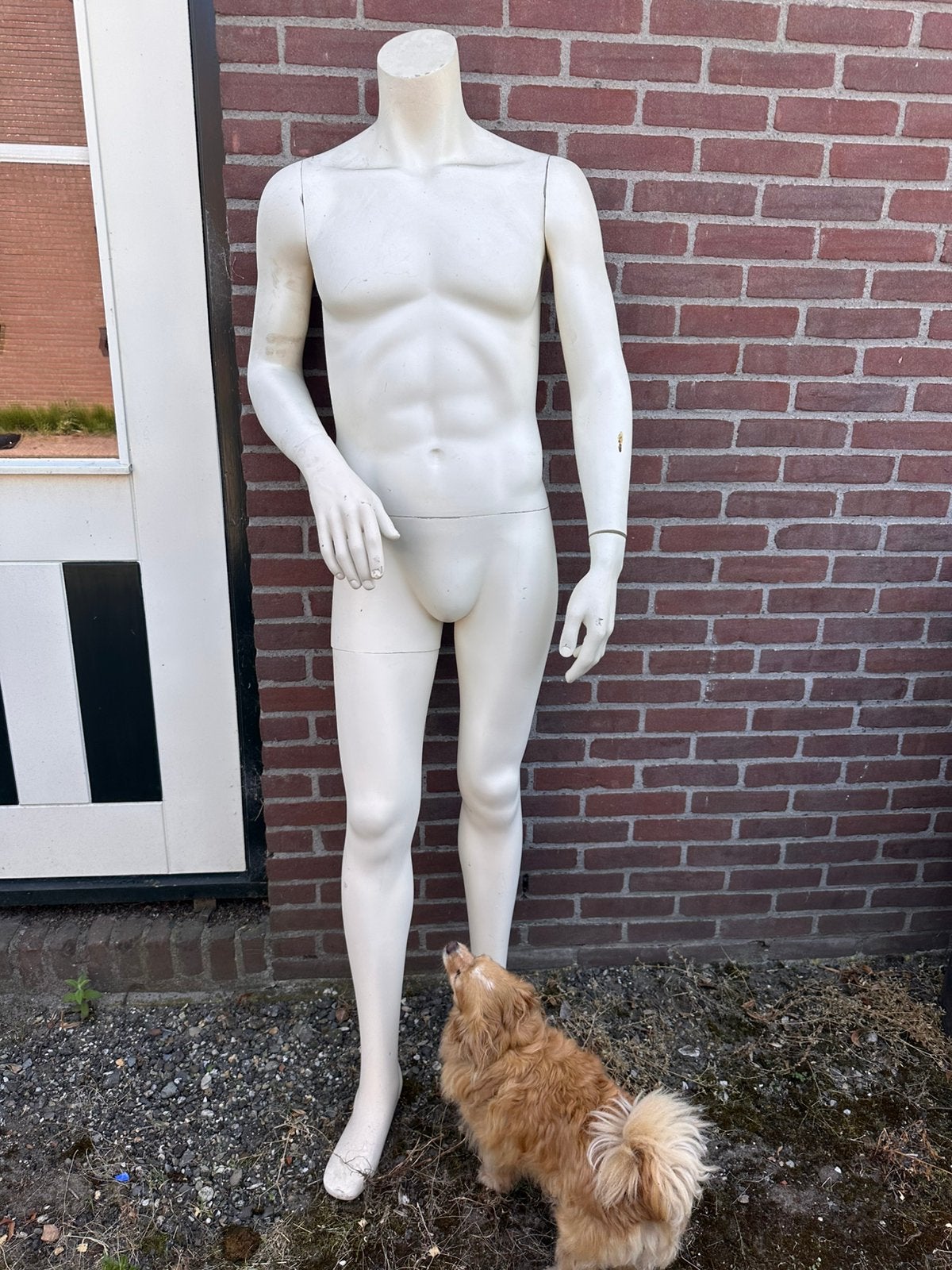 Etalagepop, Ophalen, Zo goed als nieuw