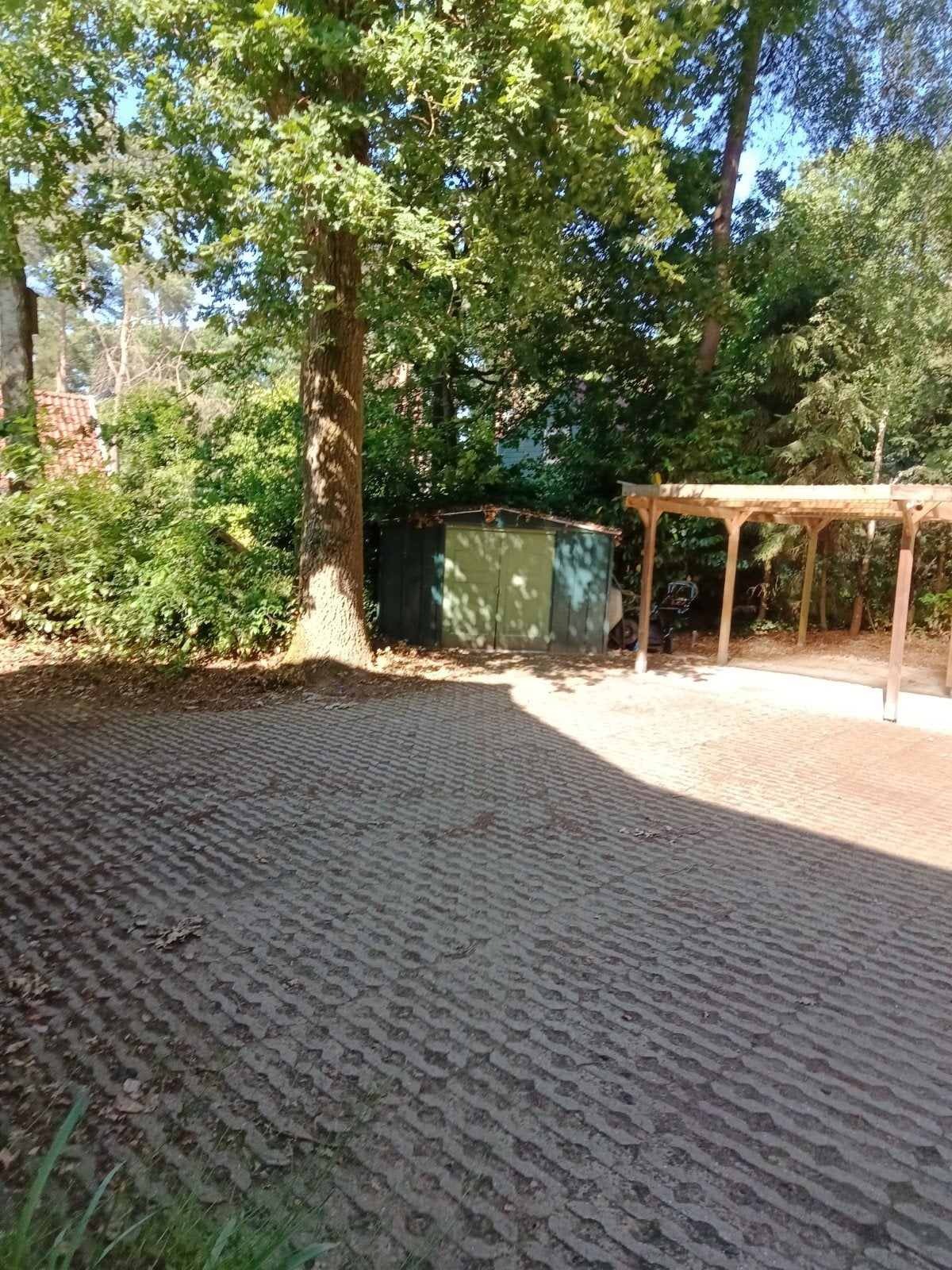 Gratis, Eiken boom stamhout zelf zagen ca 20 m3, 6 m³ of meer, Ophalen of Verzenden